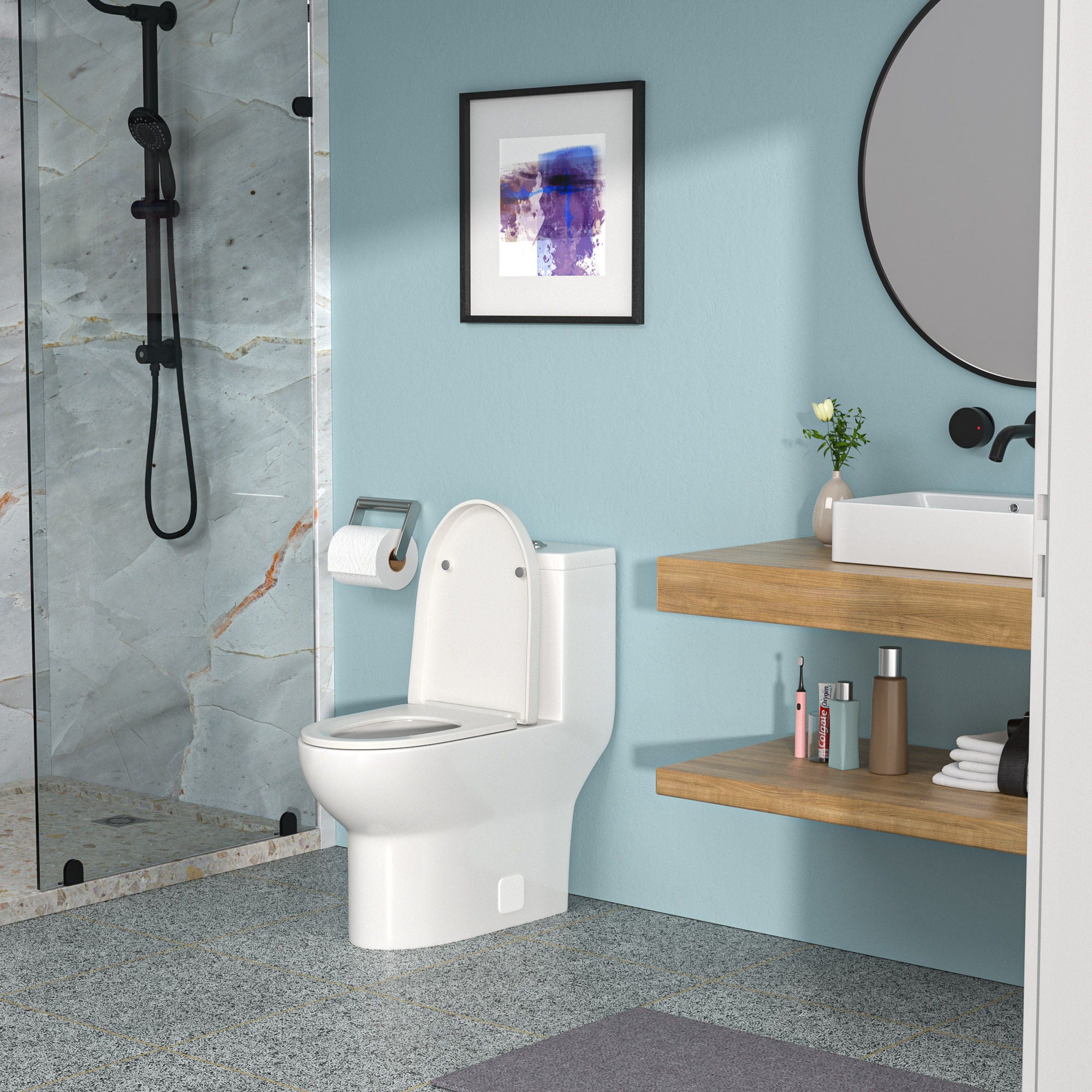 1 Piece Toilet With Dual Flush, Soft Closing Seat - White