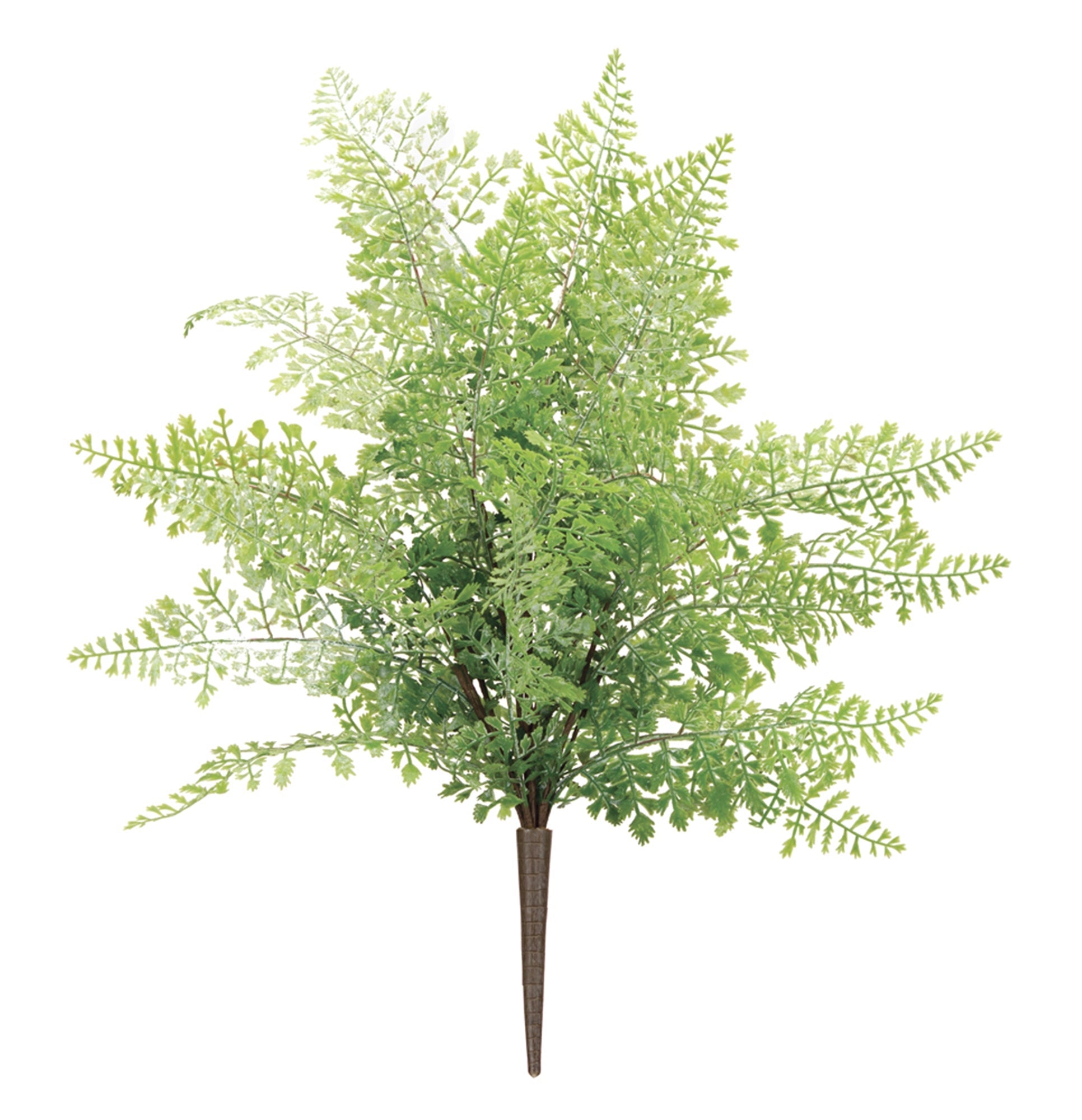 Maiden hair fern bush (set of 6)