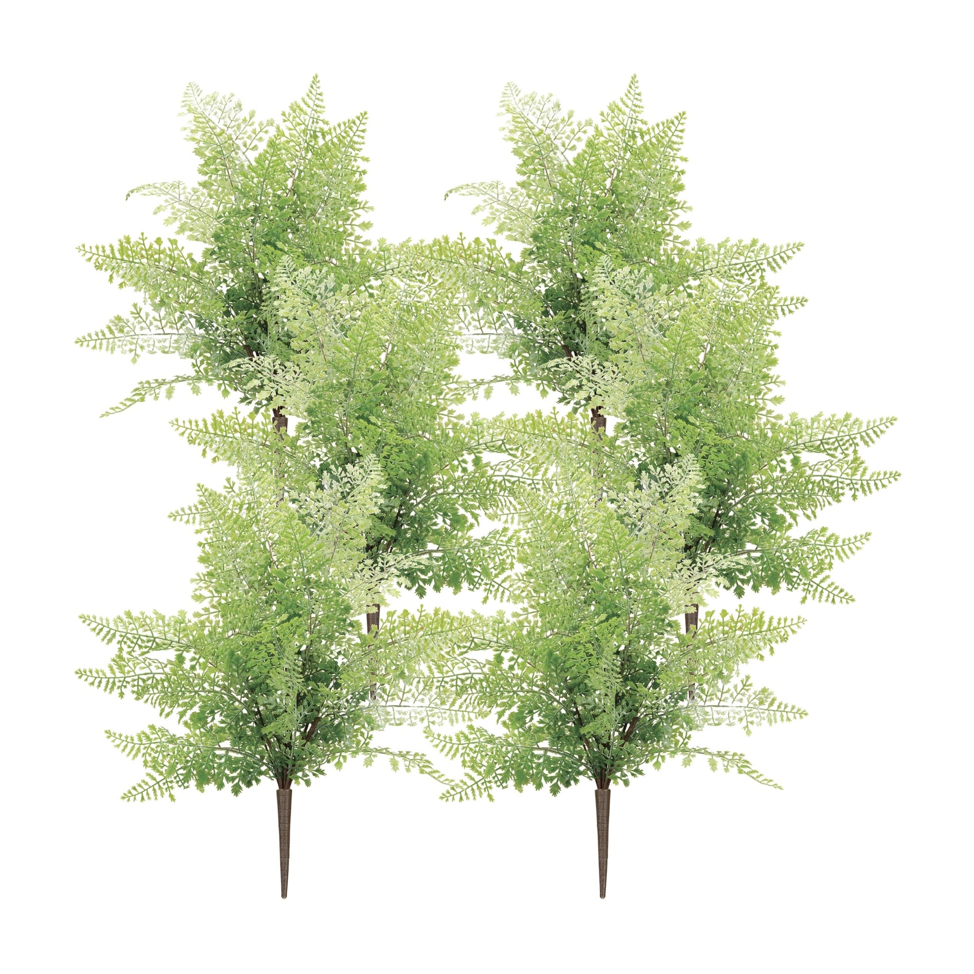 Maiden-hair-fern-bush-(set-of-6)-Artificial-Flowering-Plants