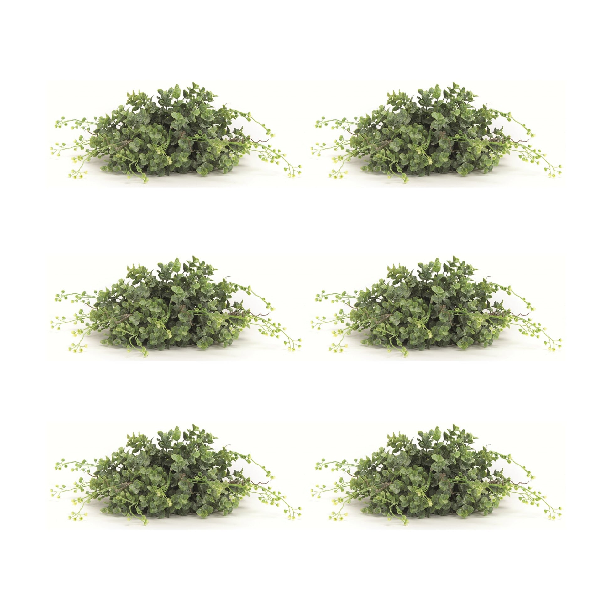 Spring-Boxwood-Foliage-Half-Orb-(Set-of-6)-Artificial-Flowering-Plants