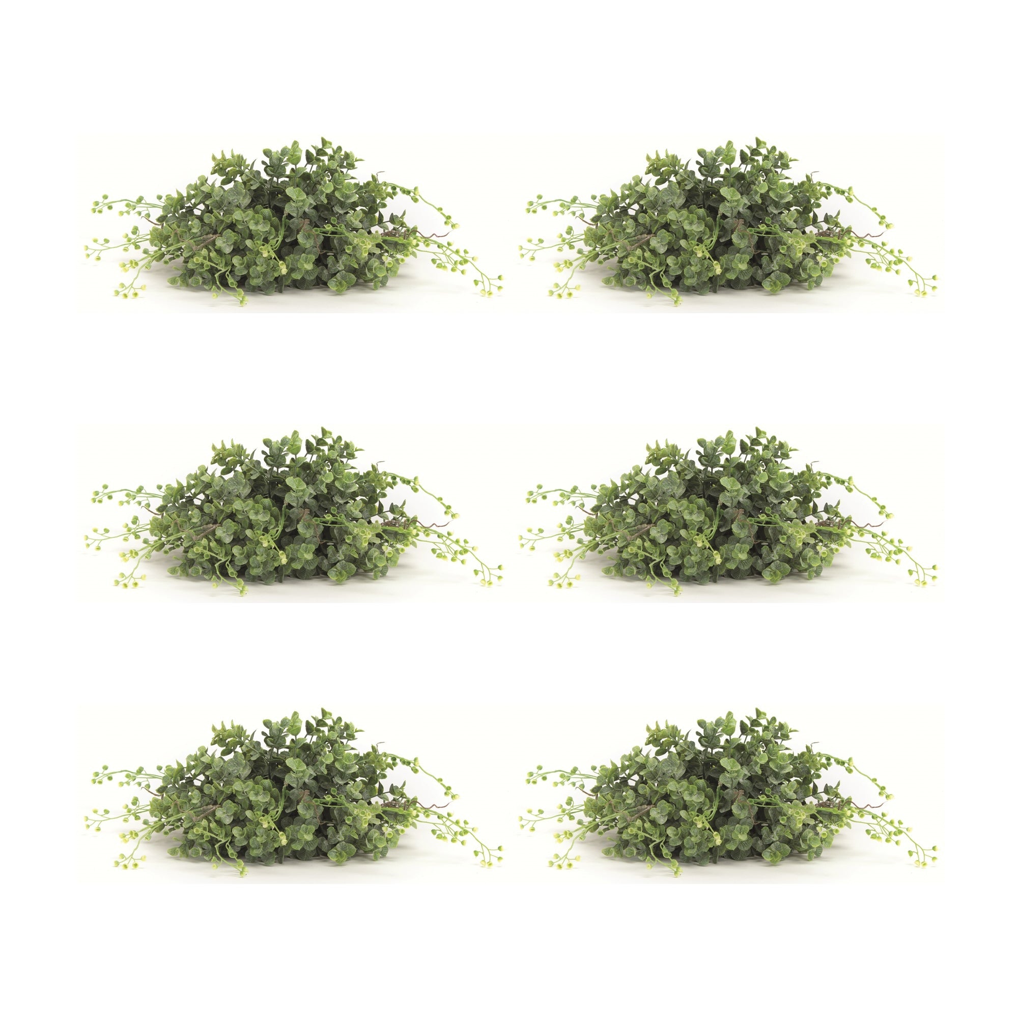 Spring-Boxwood-Foliage-Half-Orb-(Set-of-6)-Artificial-Flowering-Plants