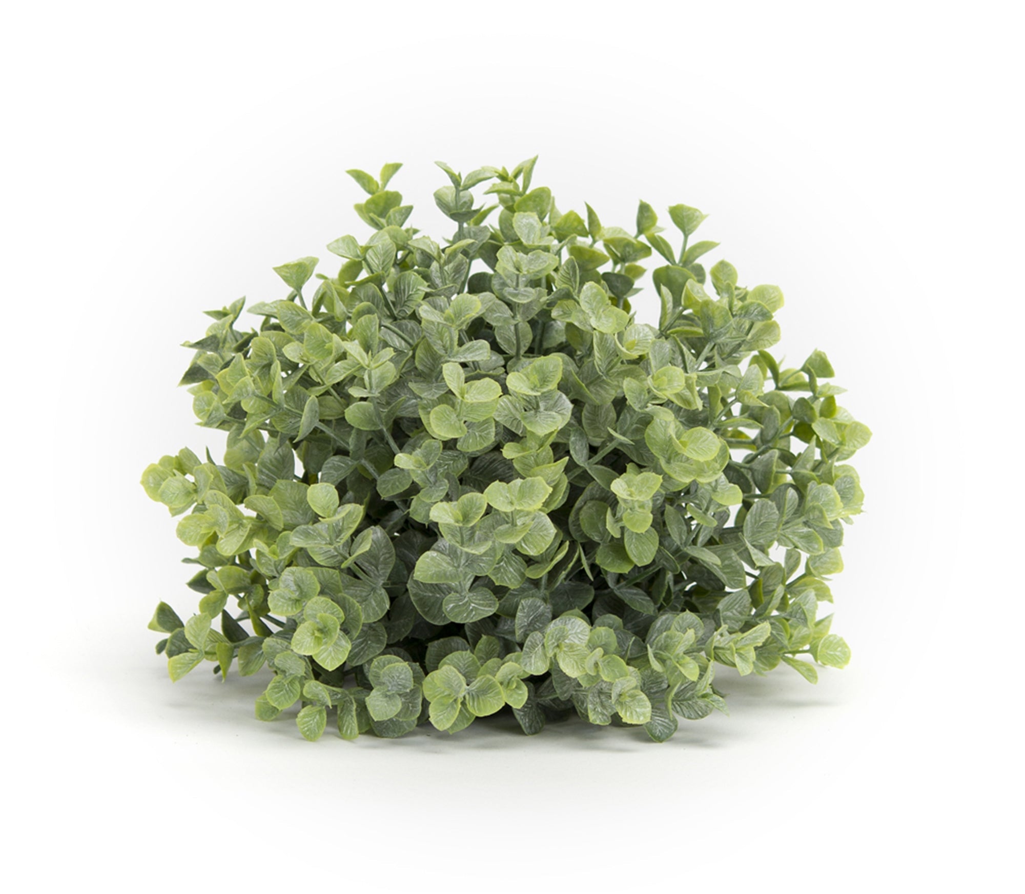 Spring Boxwood Foliage Half Orb (Set of 6)