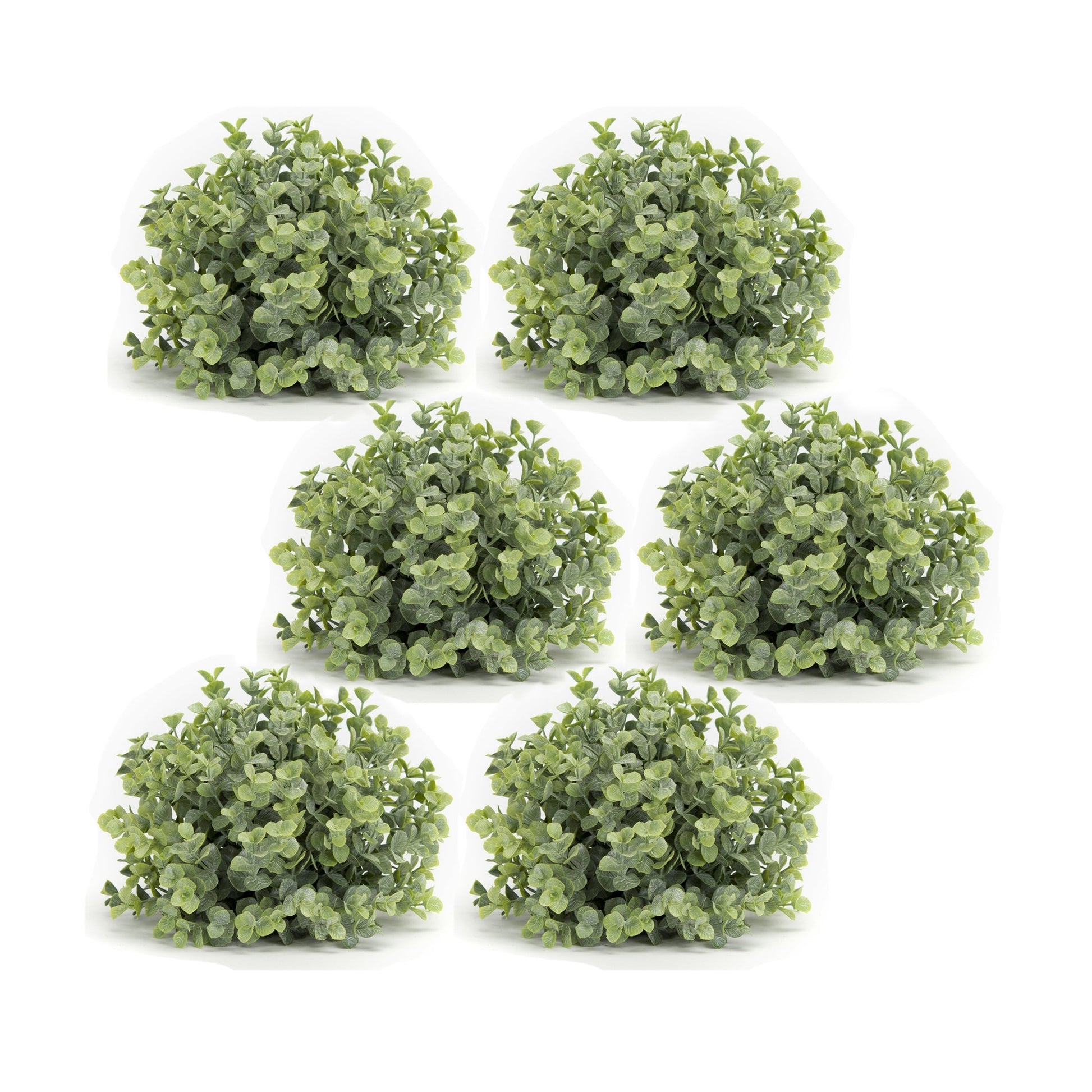 Spring-Boxwood-Foliage-Half-Orb-(Set-of-6)-Artificial-Flowering-Plants
