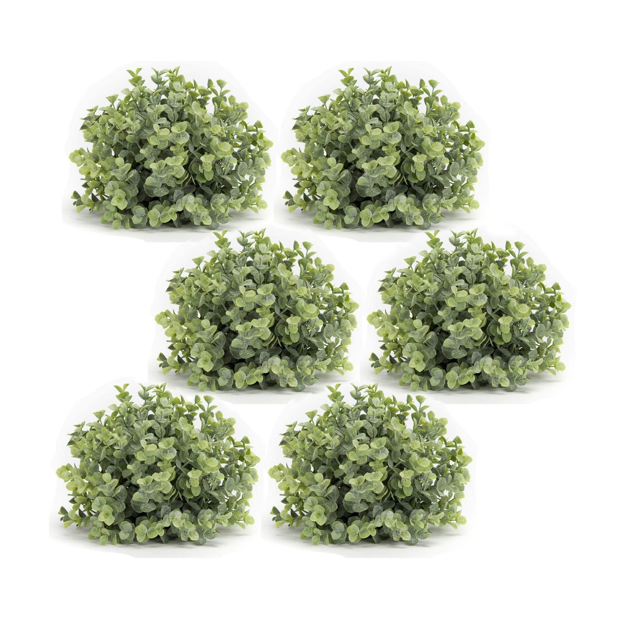 Spring-Boxwood-Foliage-Half-Orb-(Set-of-6)-Artificial-Flowering-Plants
