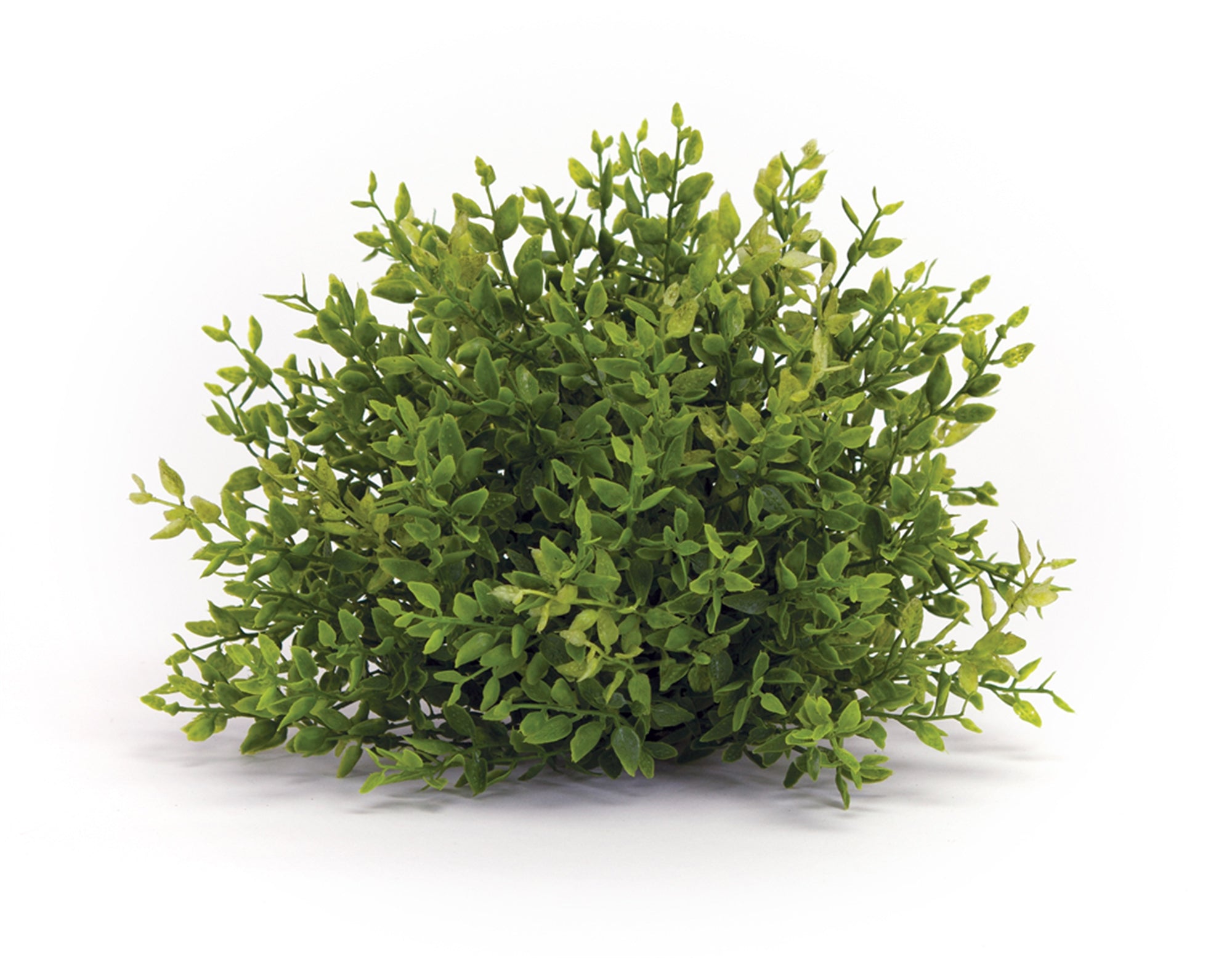 Spring Mini Leaf Foliage Half Orb (Set of 6)