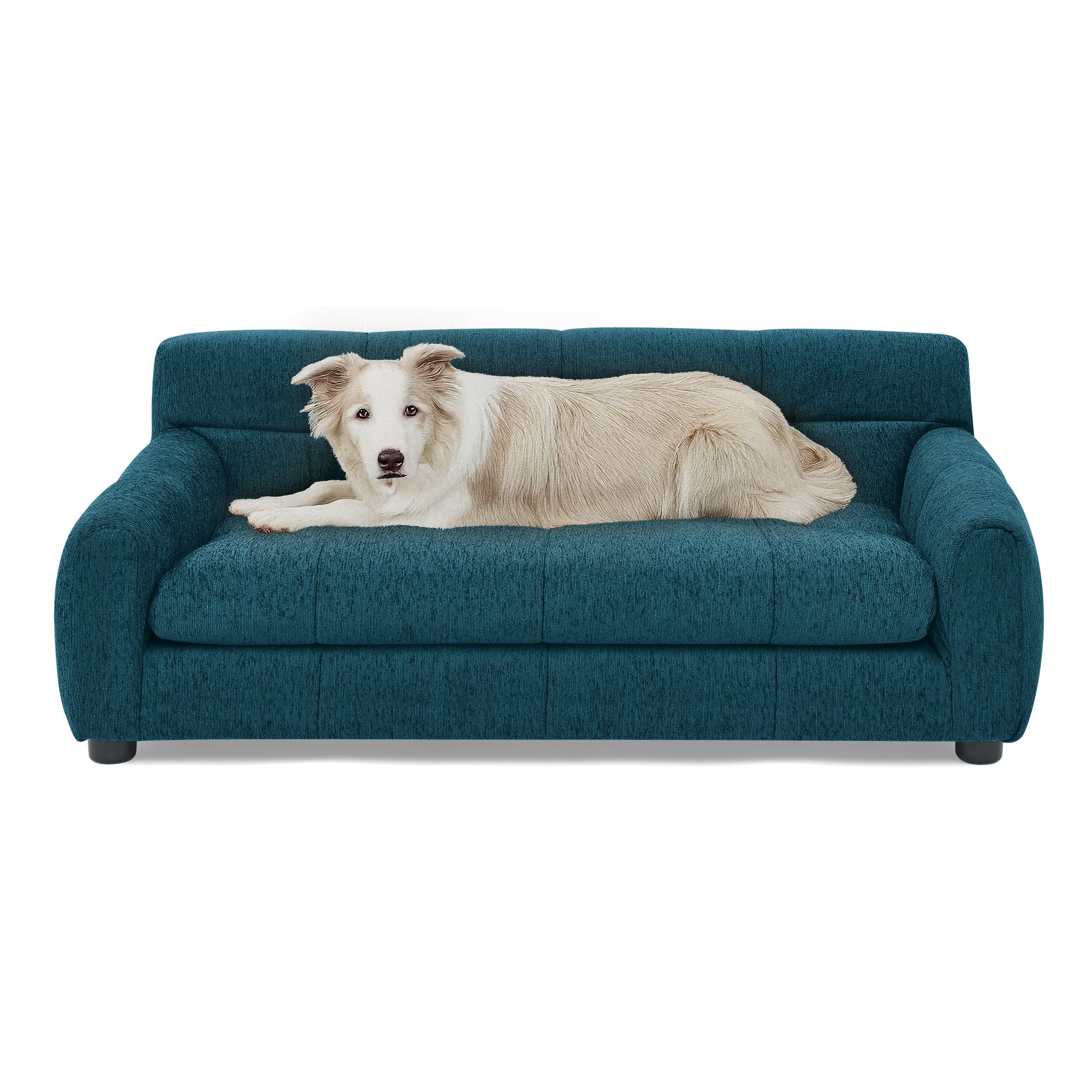 Soft Comfortable Pet Sofa with Backrest and Armrests in Blue