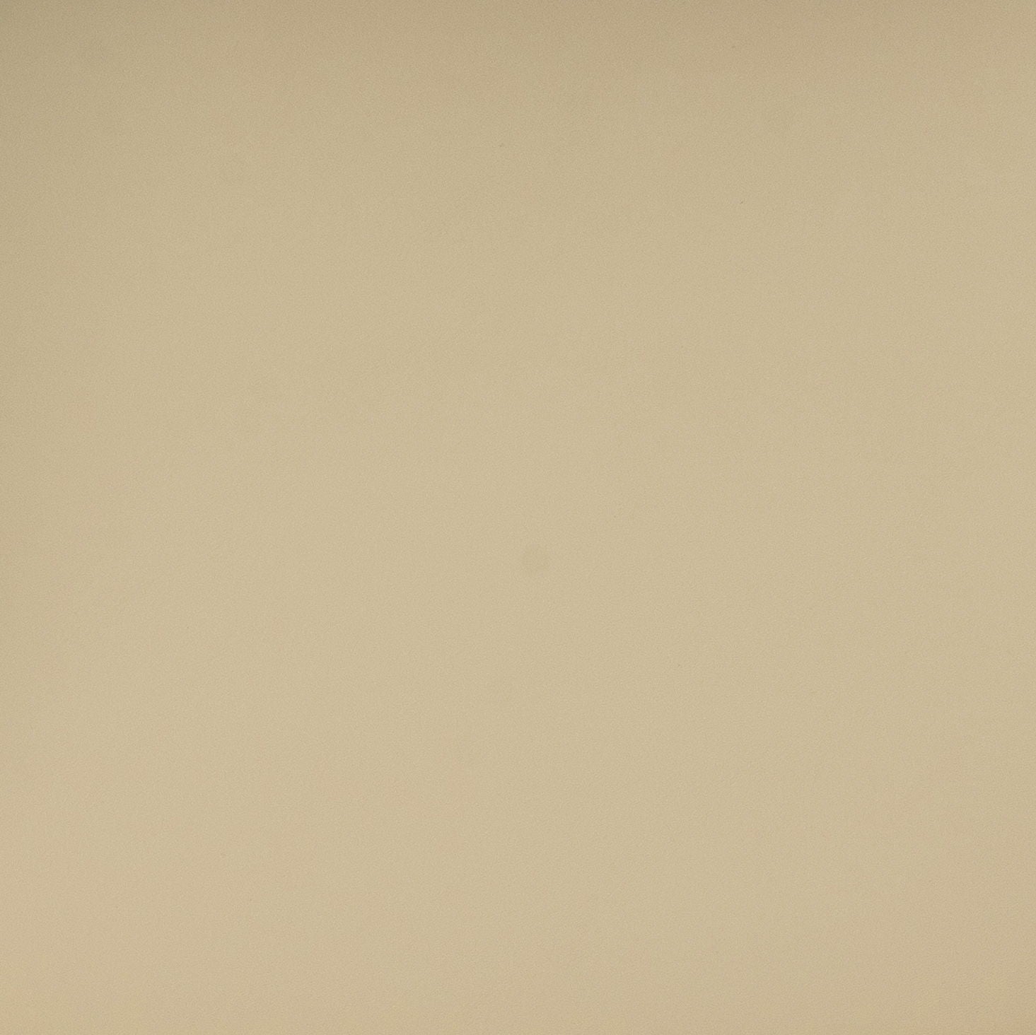 Betsy - Dining Chair