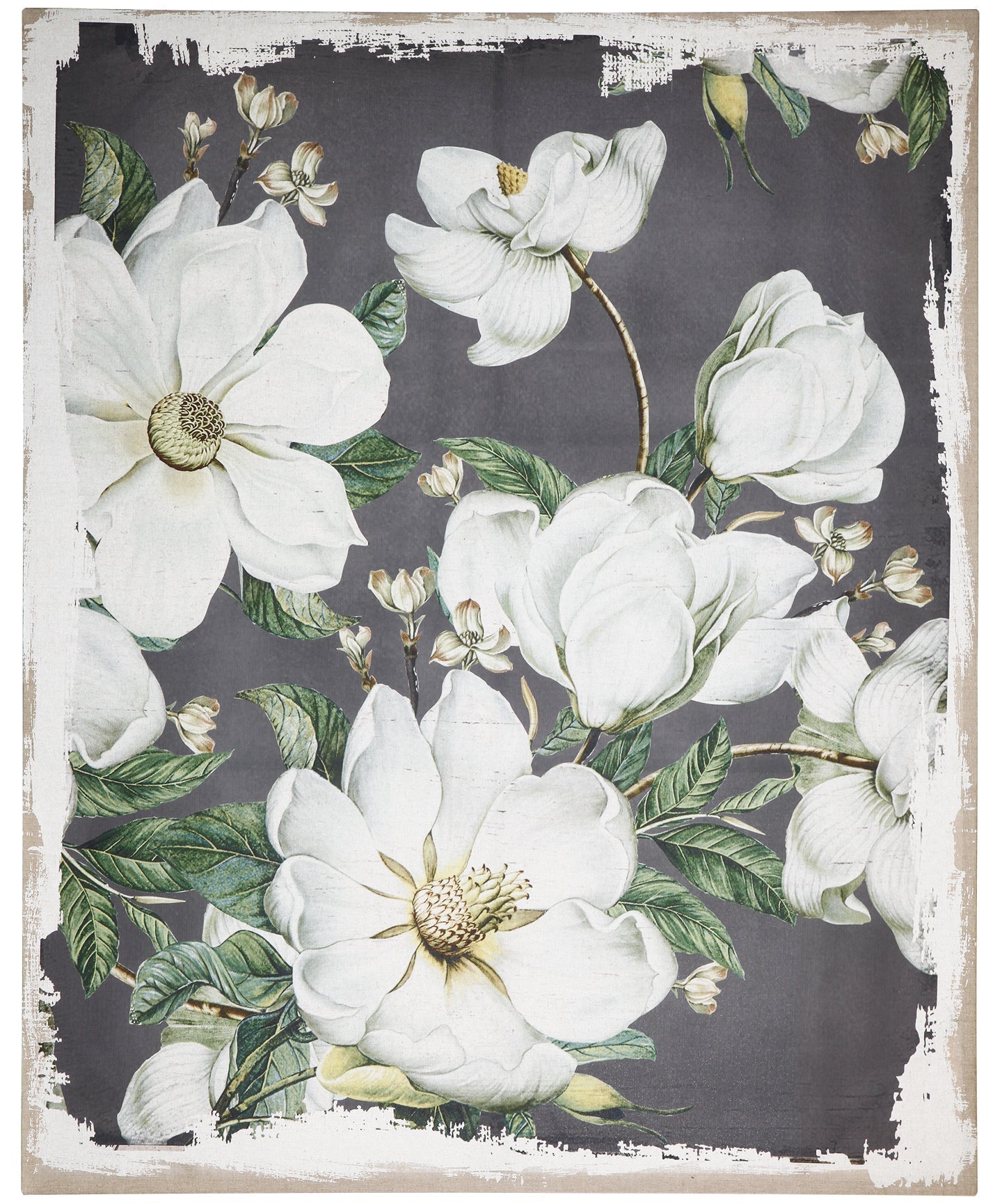 48 x 60 Large Botanical Wall Art Prints