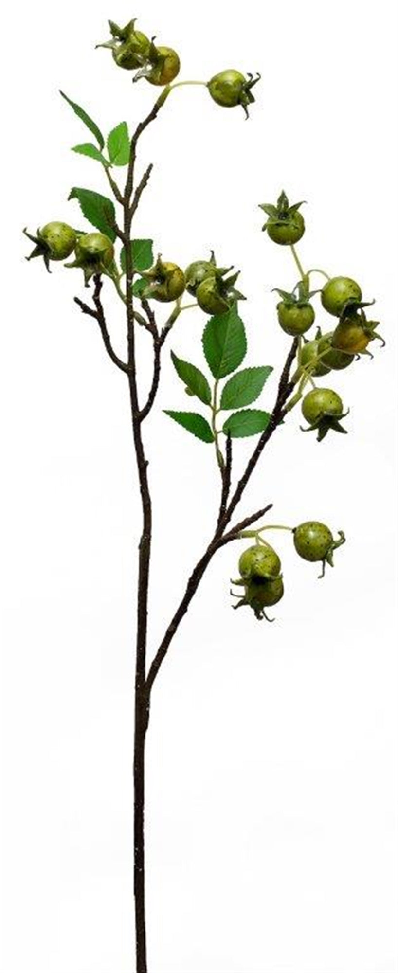 Green-Rose-Hip-Twig-Branch-(Set-of-4)-Artificial-Flowering-Plants