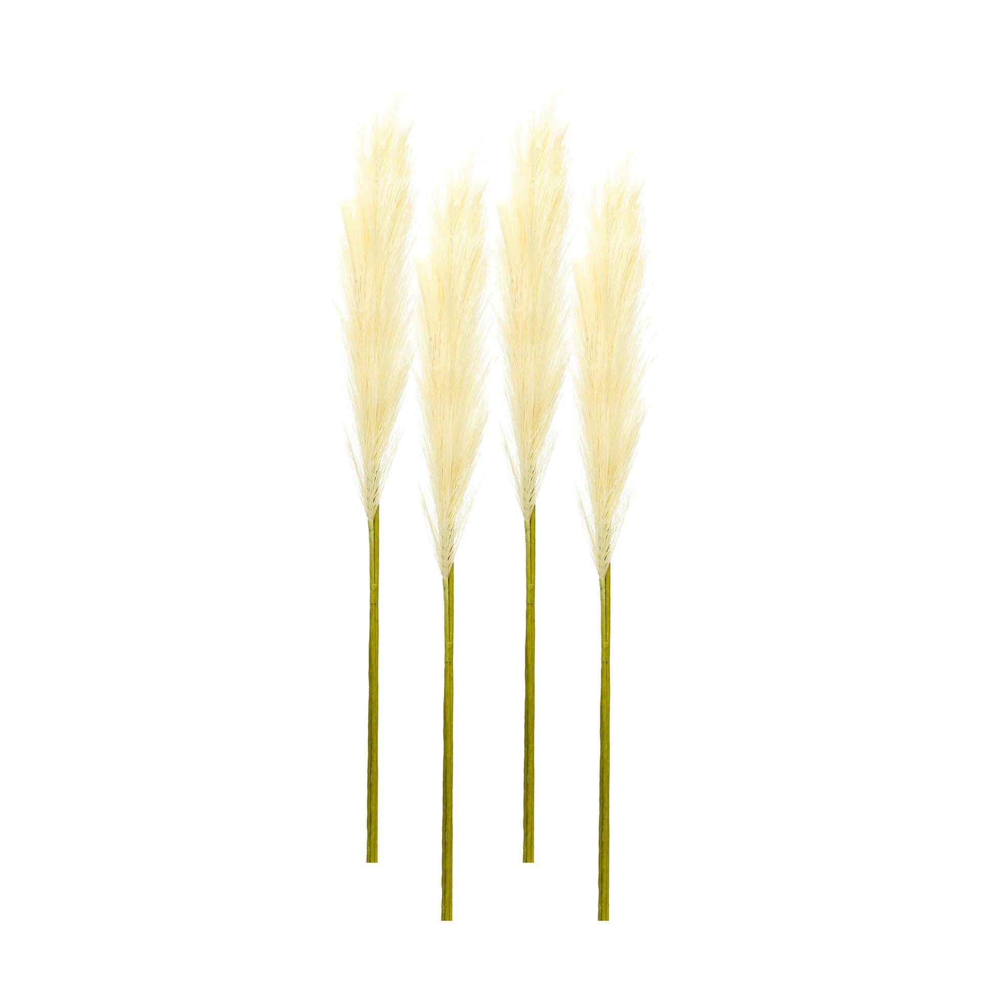 Cream-Pampas-Gass-Stem-(Set-of-4)-Artificial-Flowering-Plants
