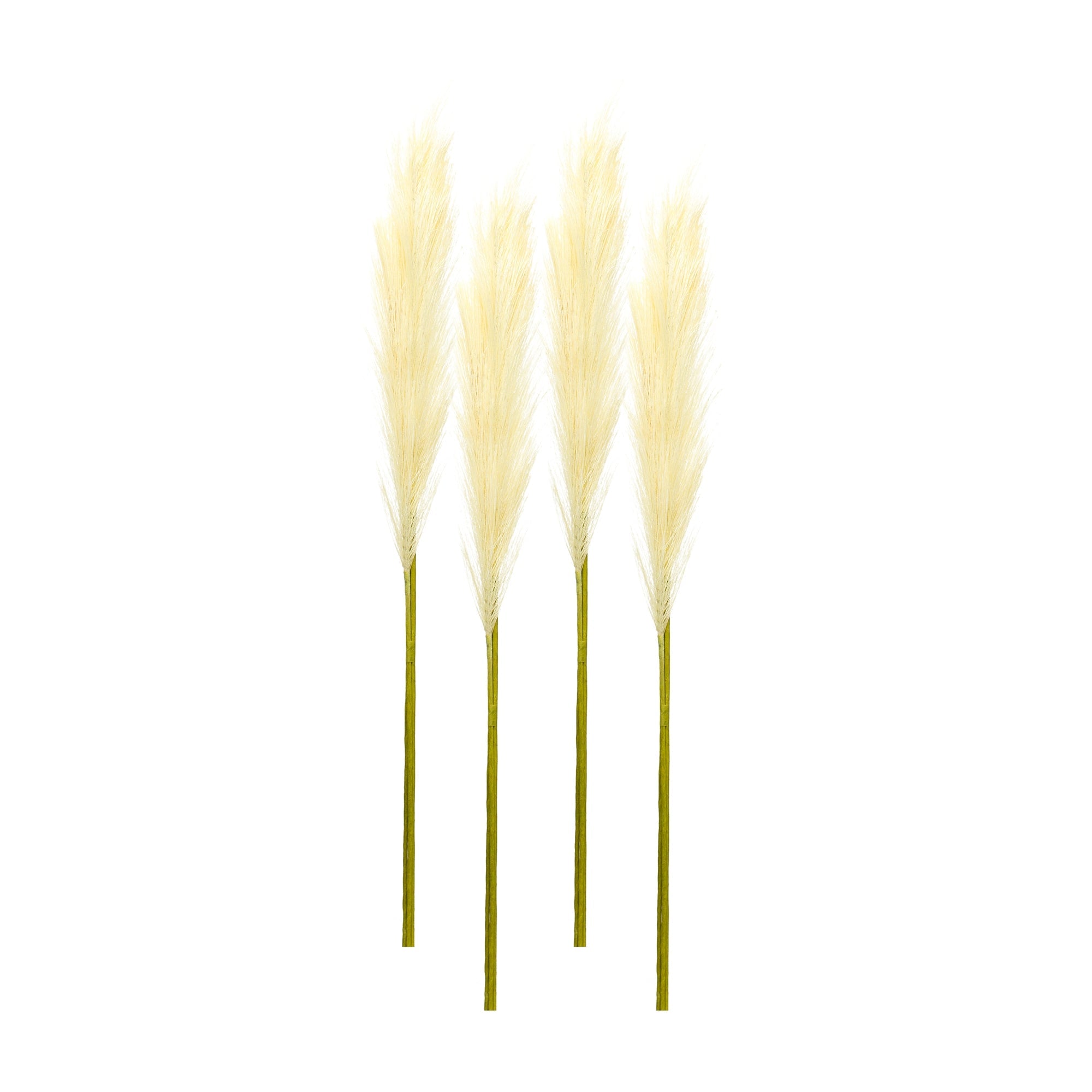 Cream-Pampas-Gass-Stem-(Set-of-4)-Artificial-Flowering-Plants