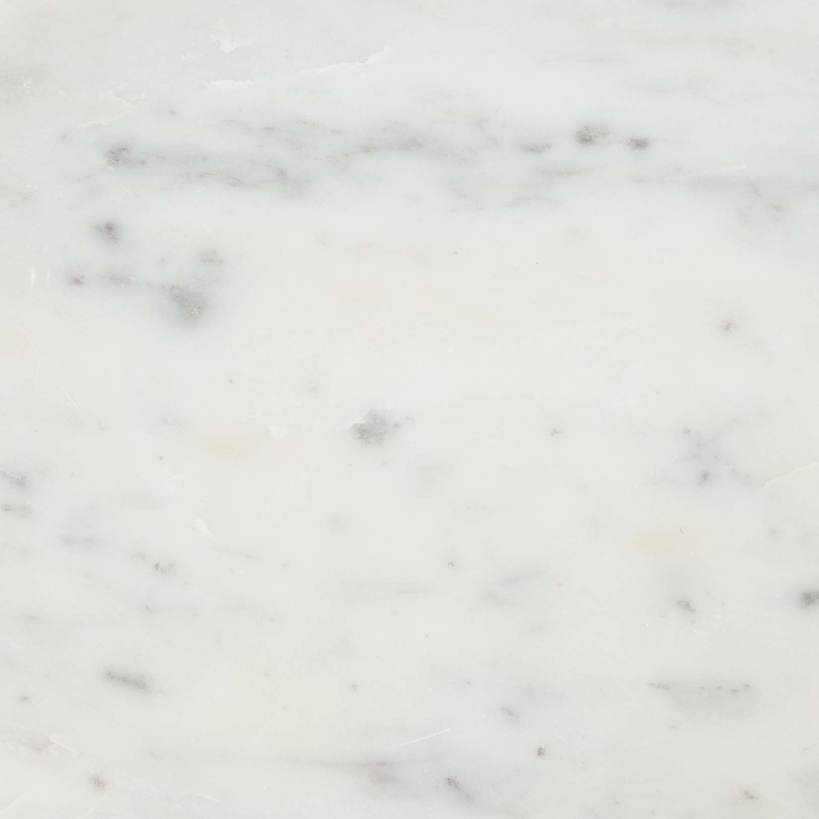 Maurice - Side Table - White / Gold