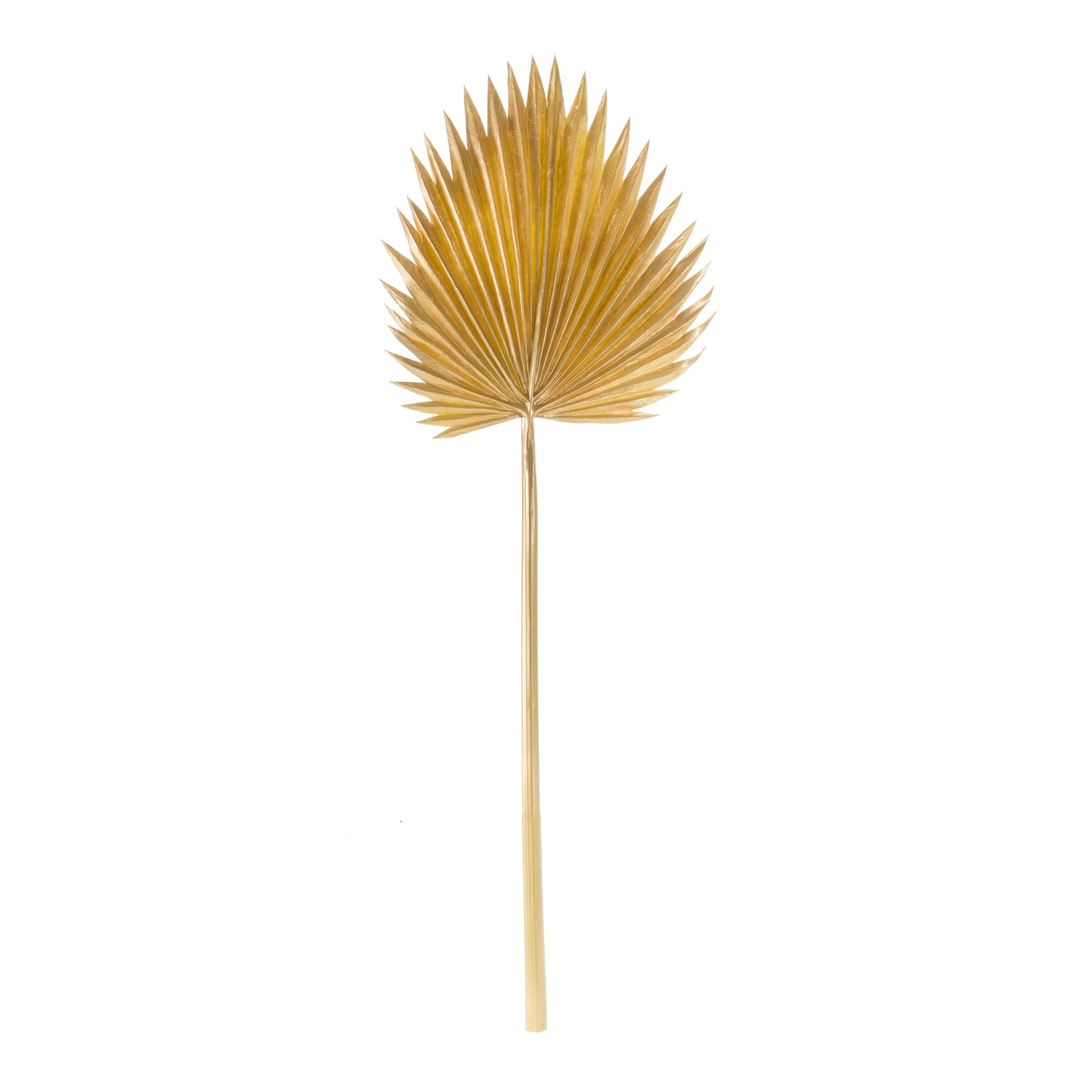 Natural gold fan palm leaf (set of 6)