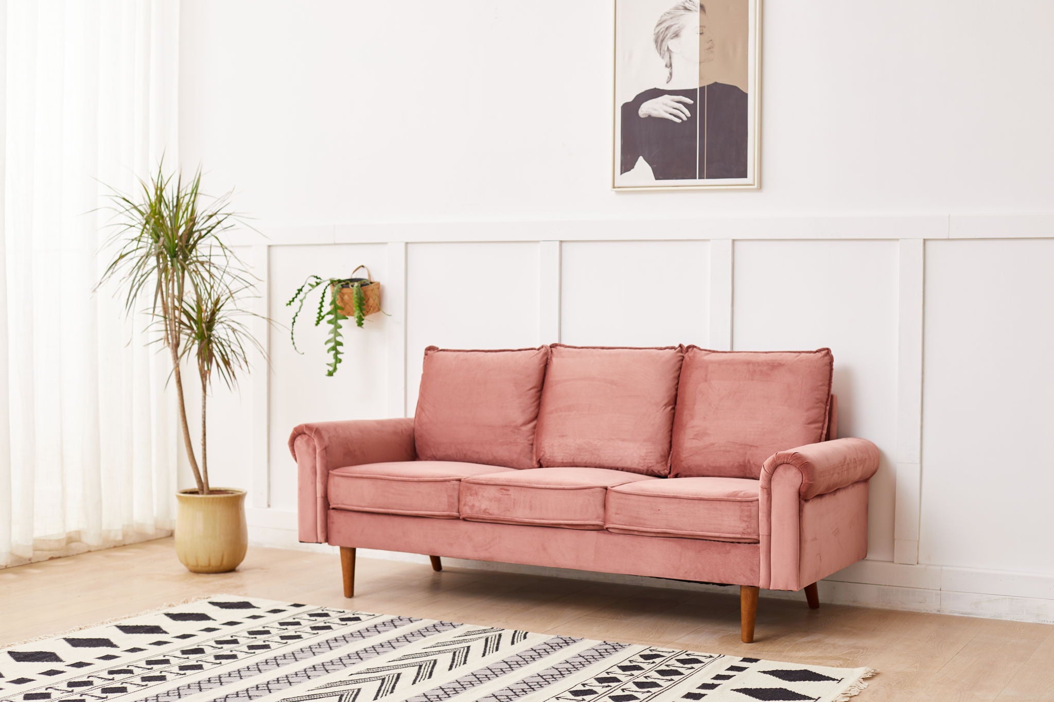 Graceful Design Plush Comfort Sofa