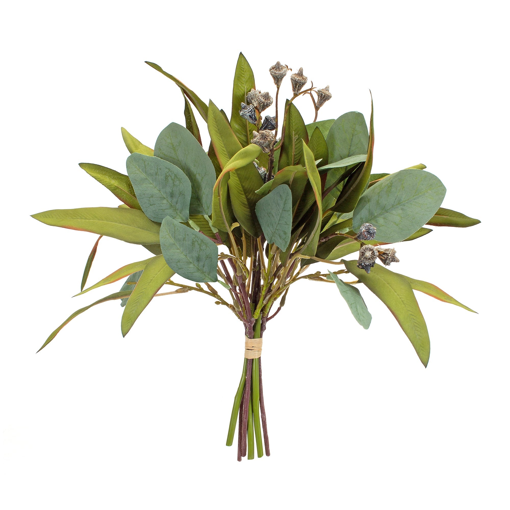 Seeded Foliage Bundle with Tie (Set of 6)