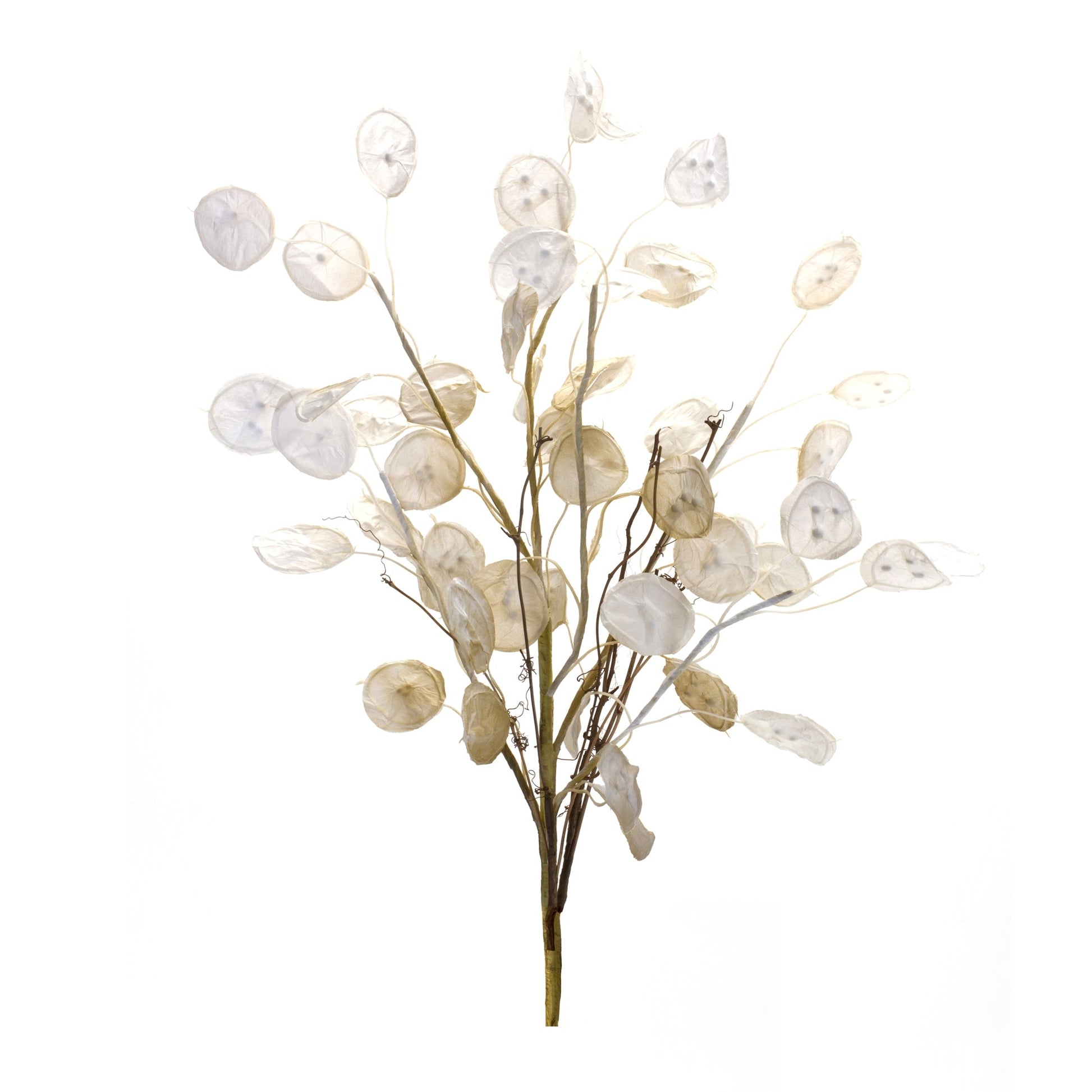 Ivory-Silver-Dollar-Eucalyptus-Spray-(Set-of-6)-Artificial-Flowering-Plants