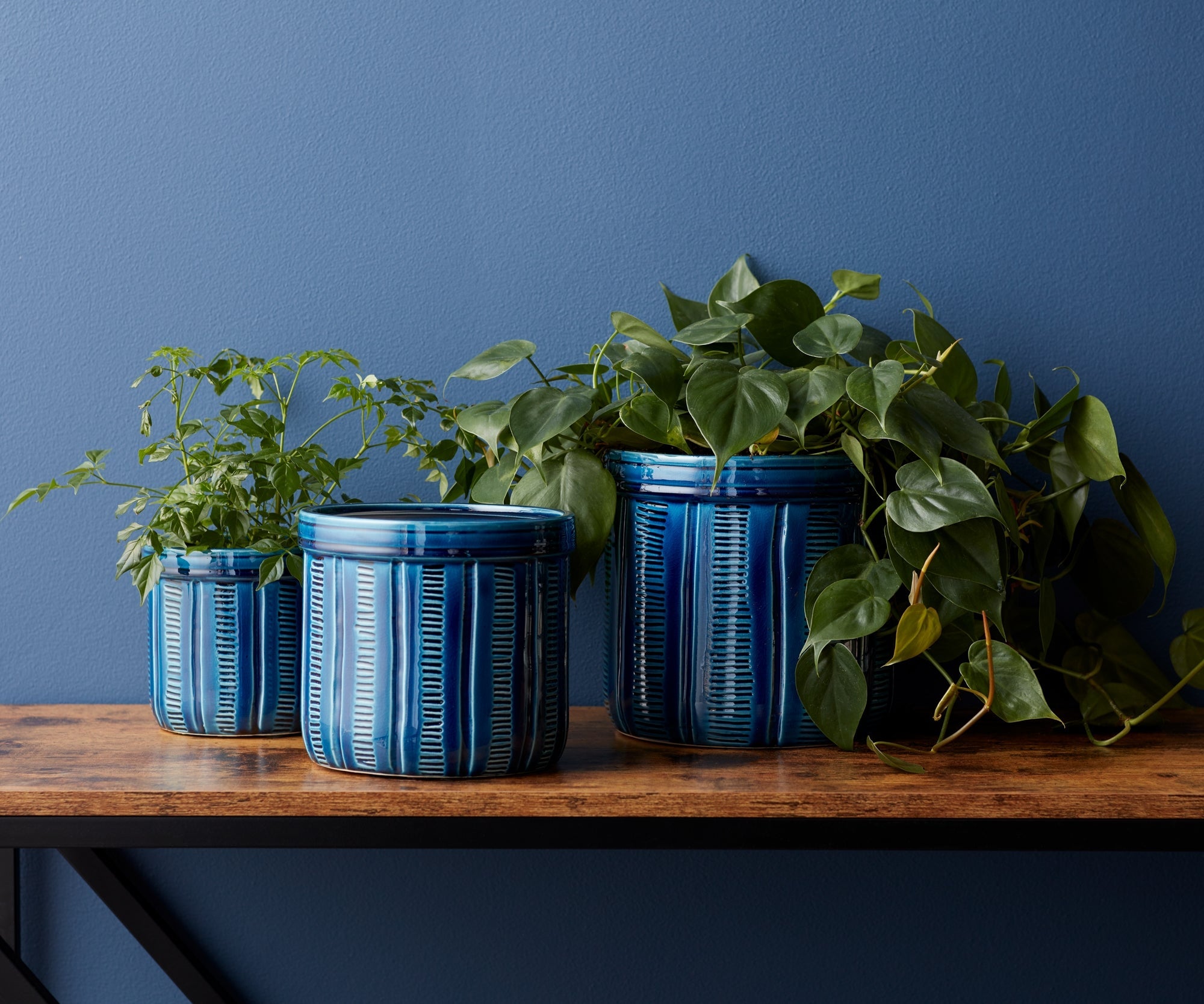 Blue Etched Terra Cotta Pot Planter (Set of 3)