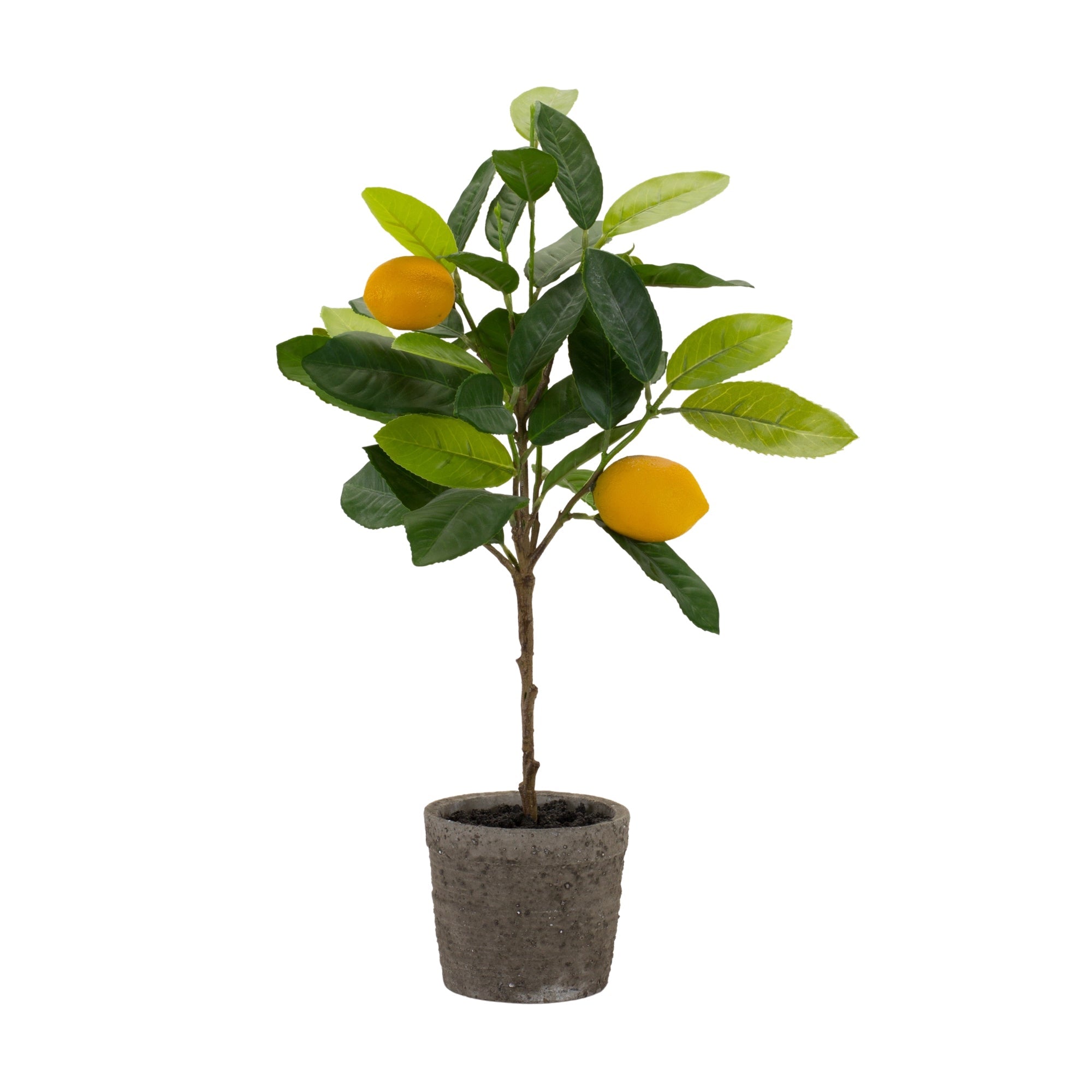 Lemon fruit silk tree with pot (set of 2)