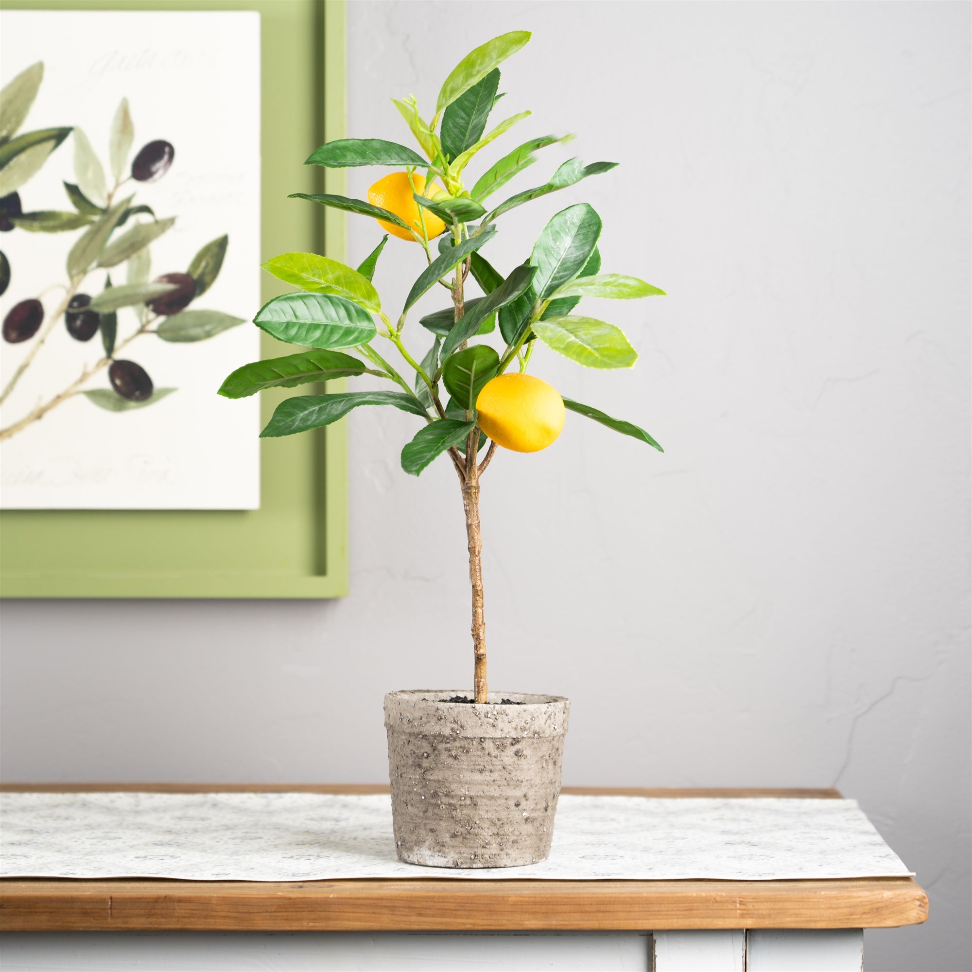 Lemon fruit silk tree with pot (set of 2)