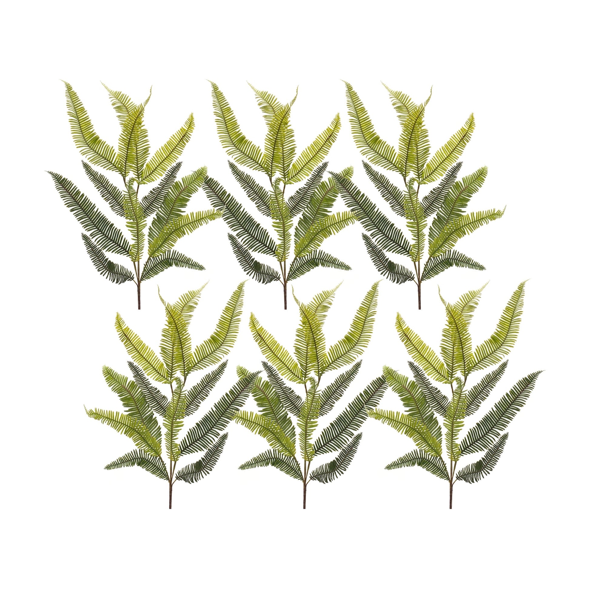 Varigated-fern-spray-(set-of-6)-Artificial-Flowering-Plants