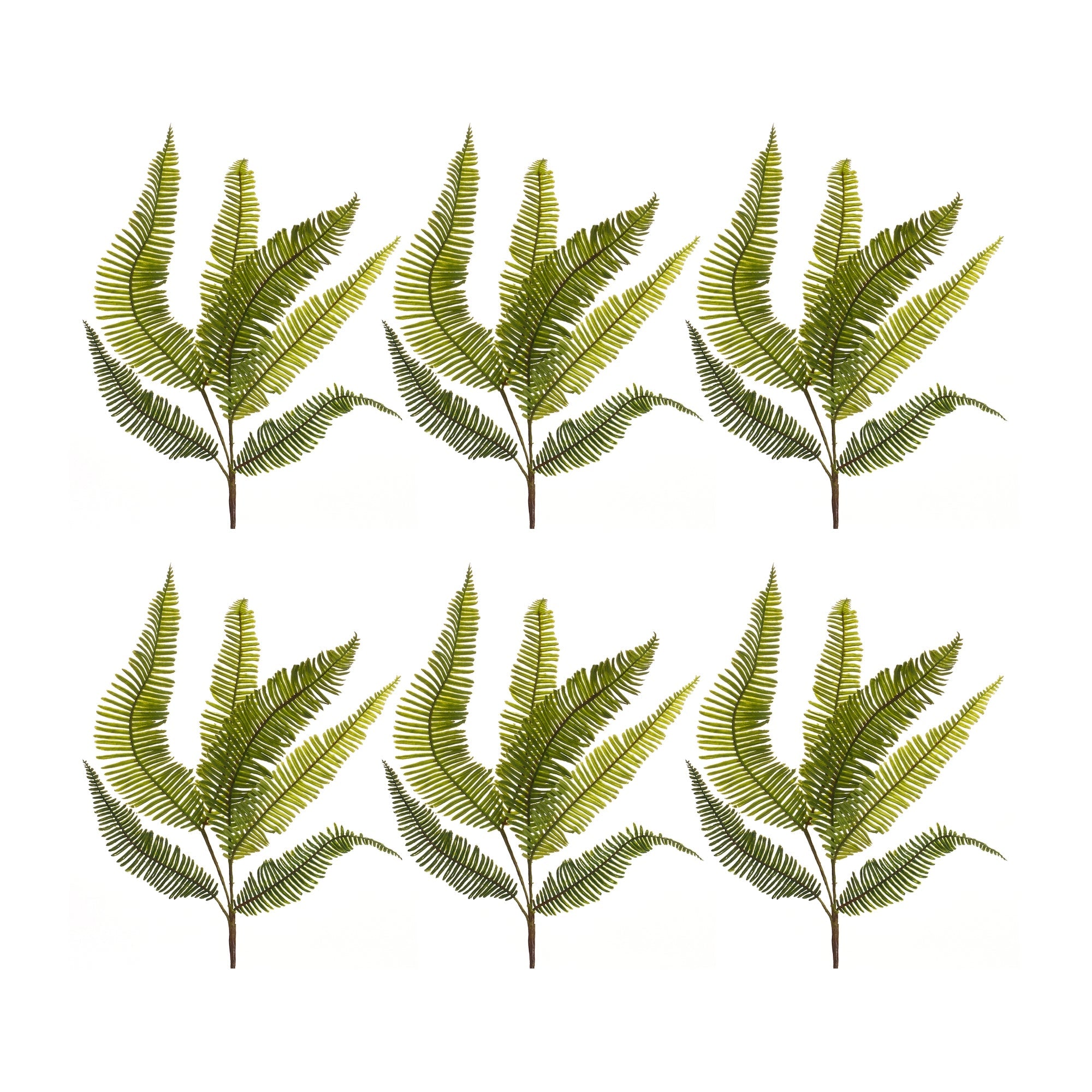 Varigated-fern-foliage-spray-(set-of-6)-Artificial-Flowering-Plants