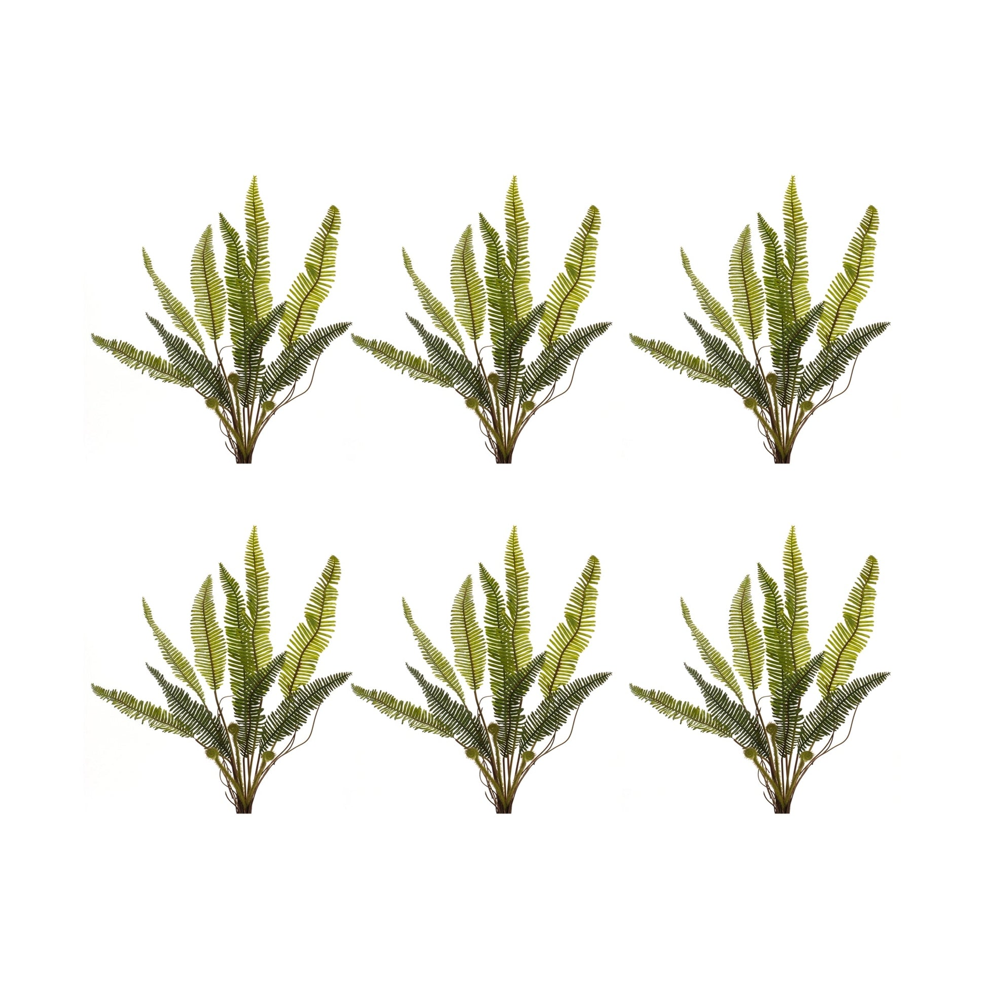 Varigated-fern-foliage-bush-(set-of-6)-Artificial-Flowering-Plants