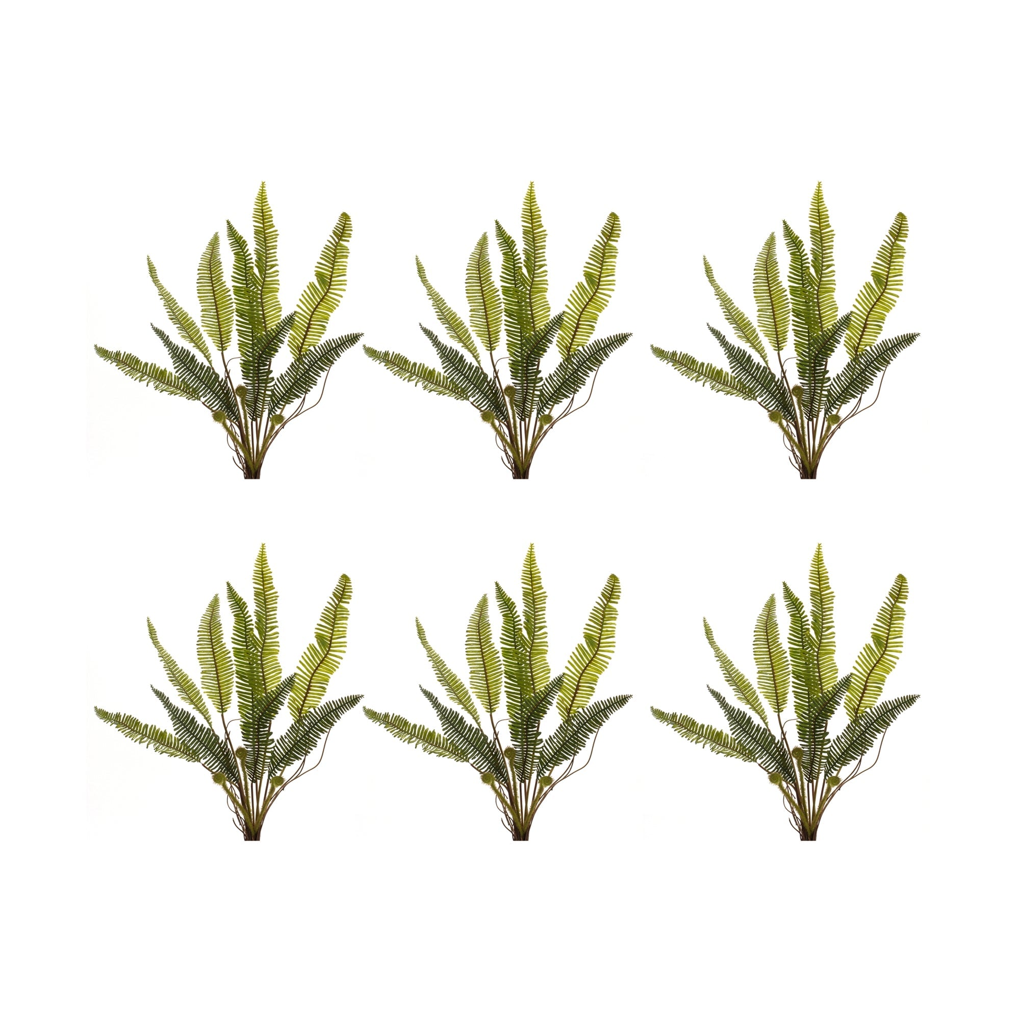 Varigated-fern-foliage-bush-(set-of-6)-Artificial-Flowering-Plants