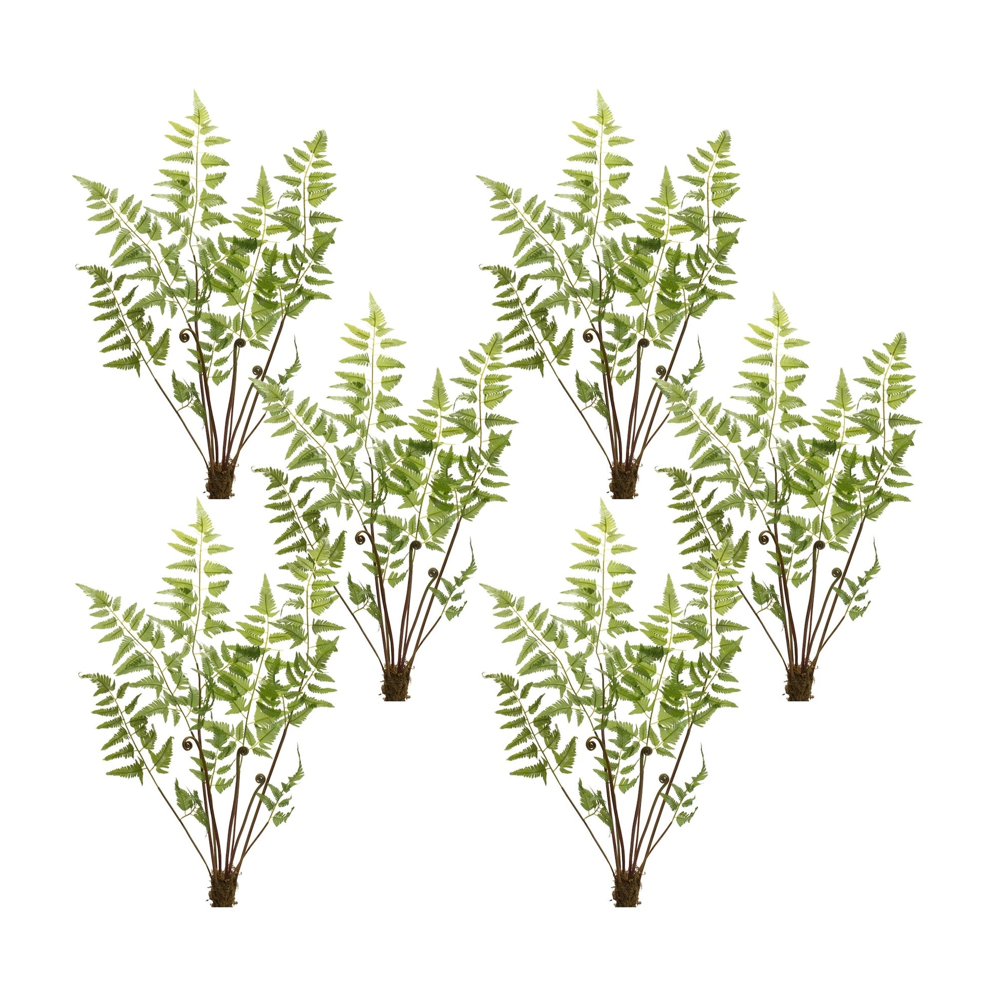 Varigated-fern-bundle-with-sprout-accents-(set-of-6)-Artificial-Flowering-Plants