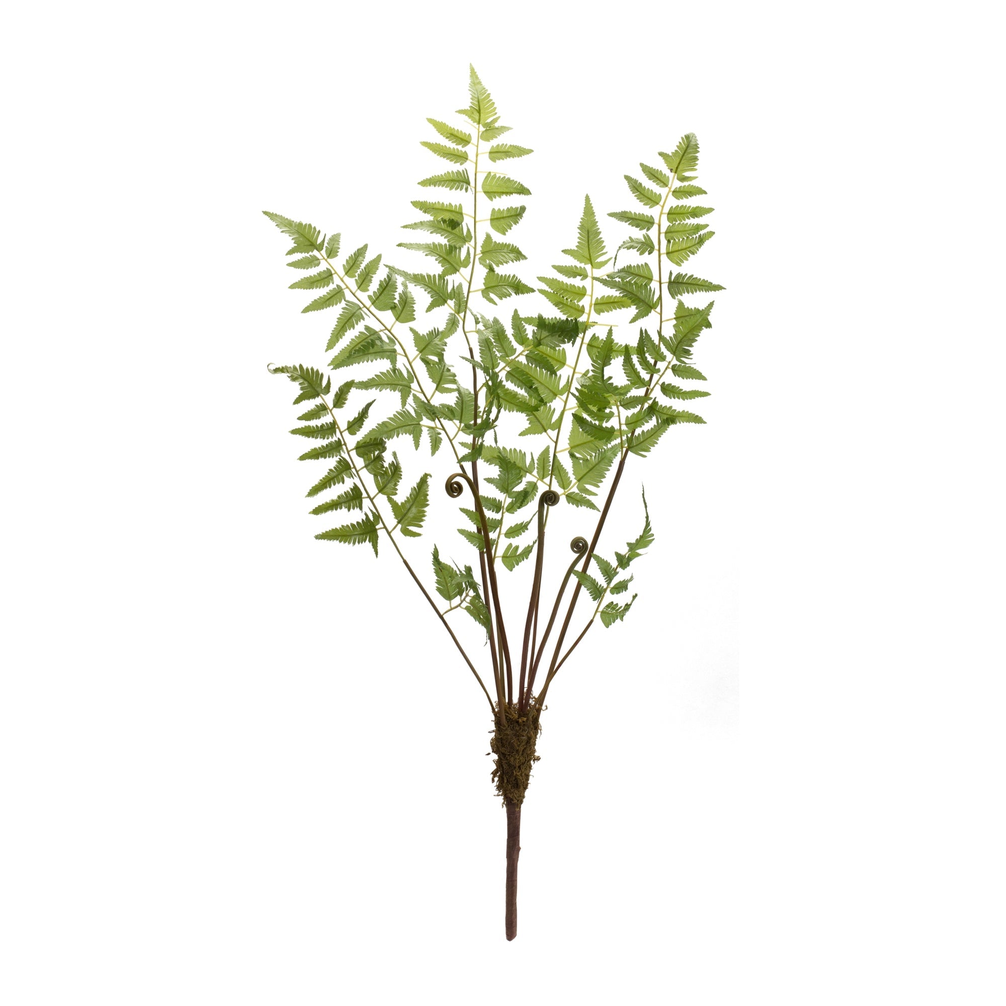 Varigated Fern Bundle with Sprout Accents (Set of 6)