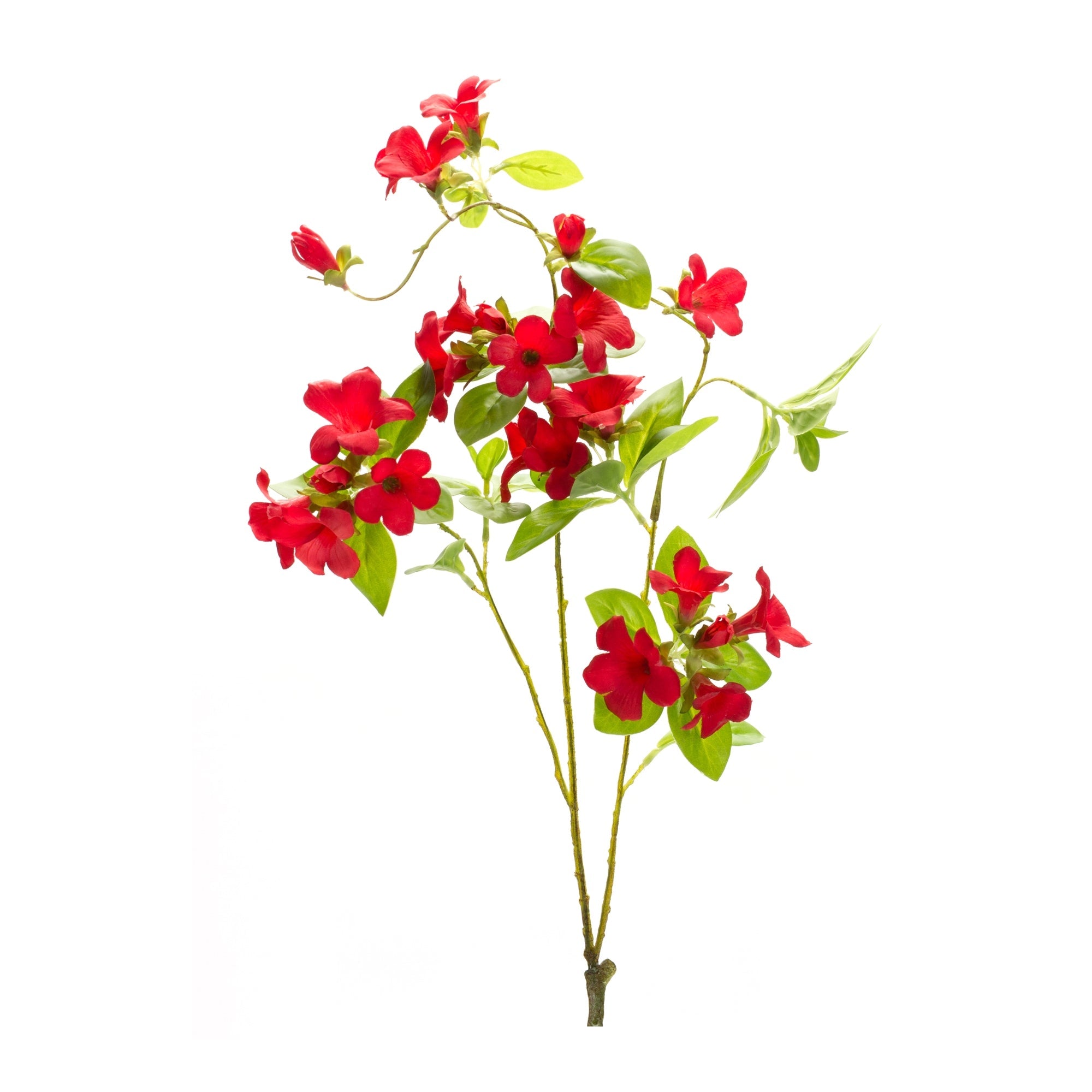 Red floral and bud spray (set of 6)