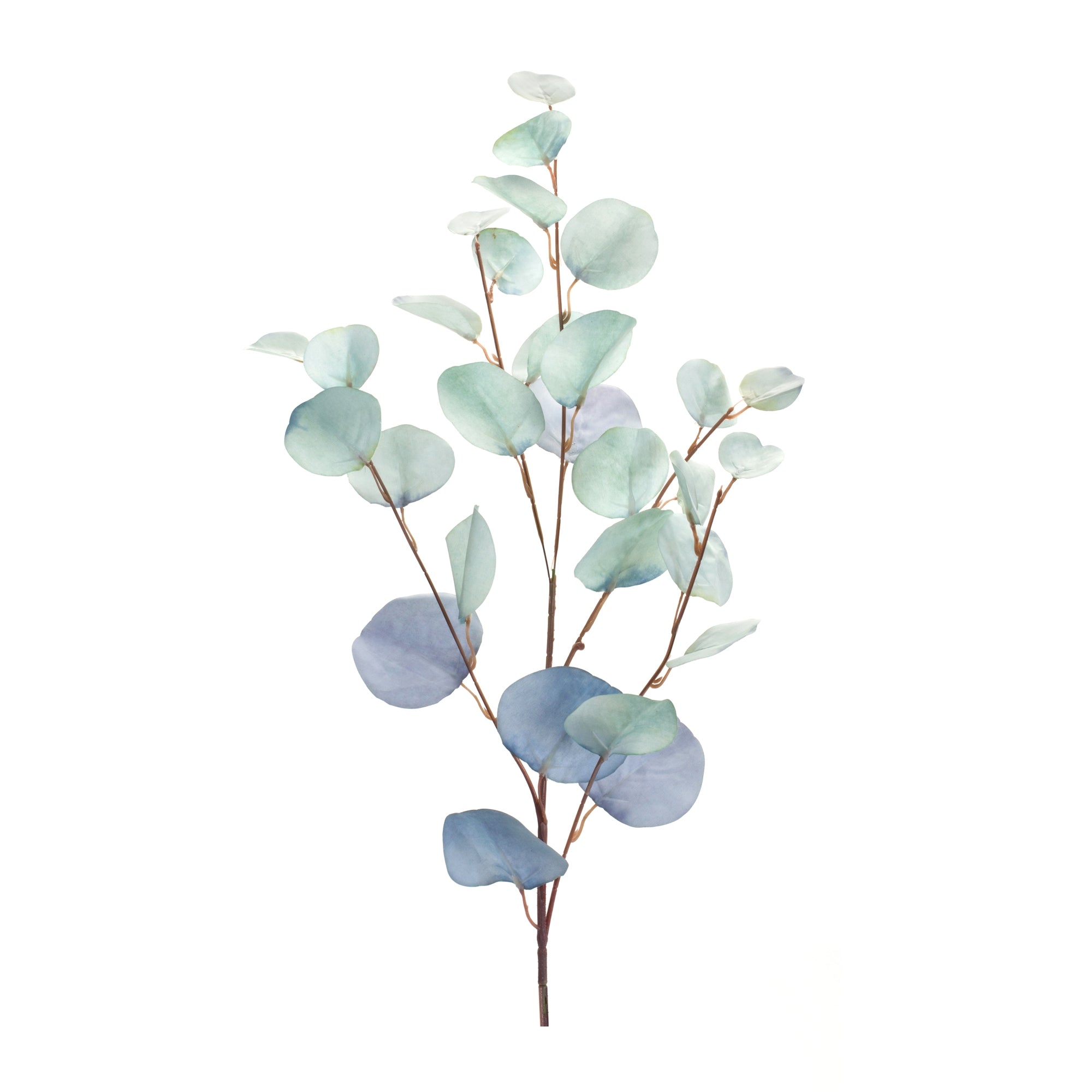Blue Silver Dollar Eucalyptus Leaf Spray (Set of 6)