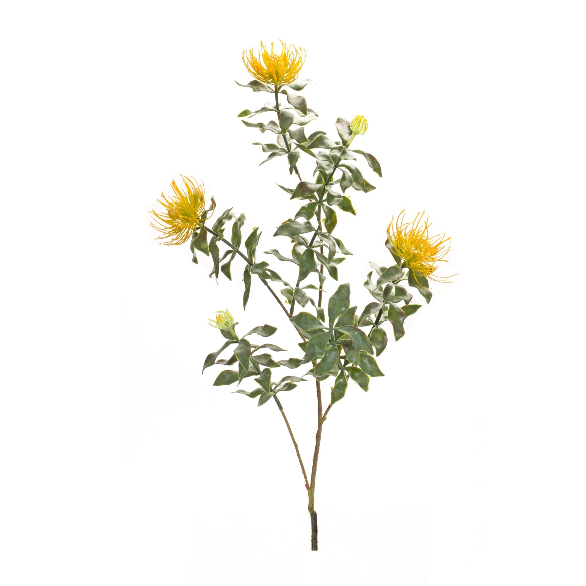 Yellow Flocked Protea Spray (Set of 6)