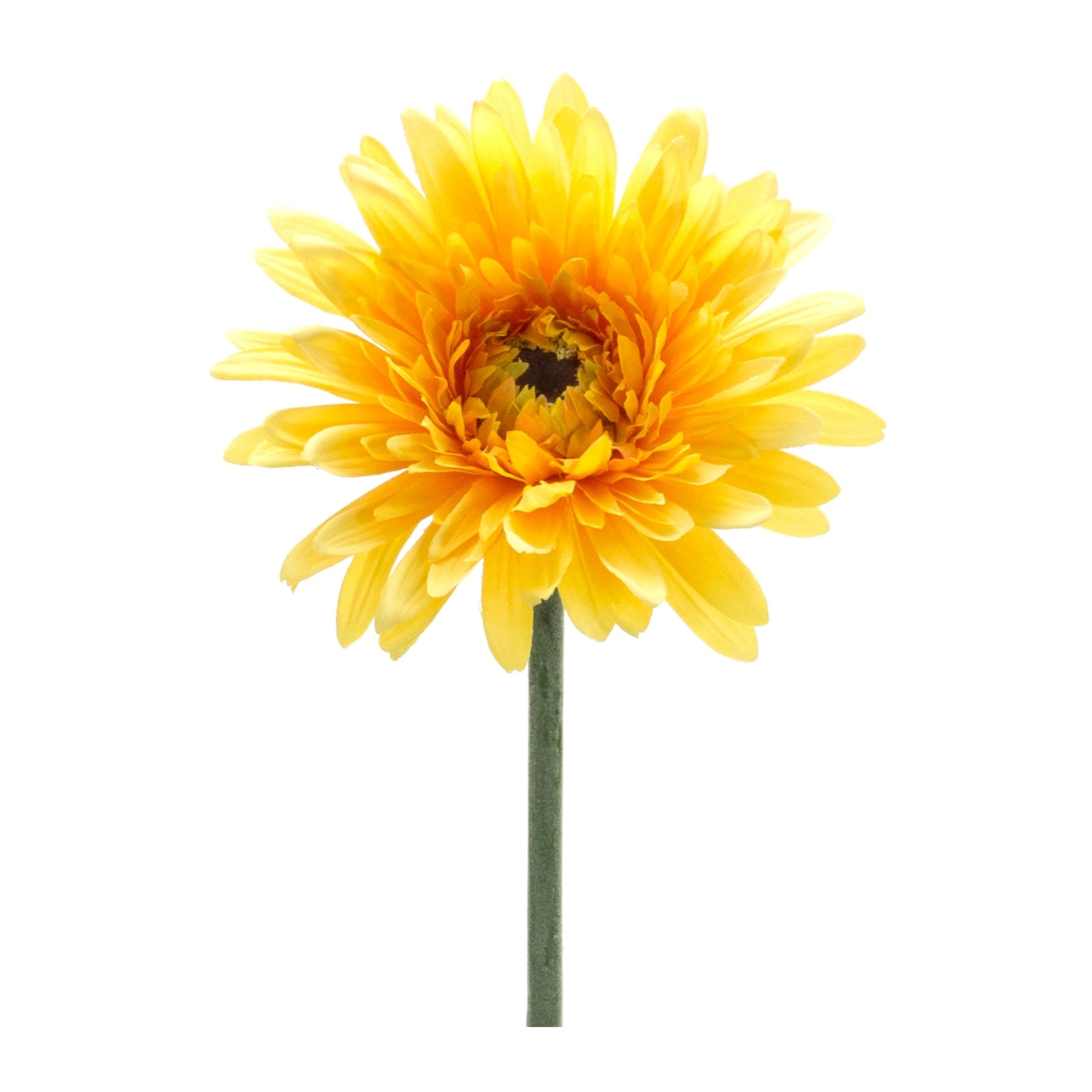Gerbera-daisy-floral-stem-(set-of-6)-Artificial-Flowering-Plants