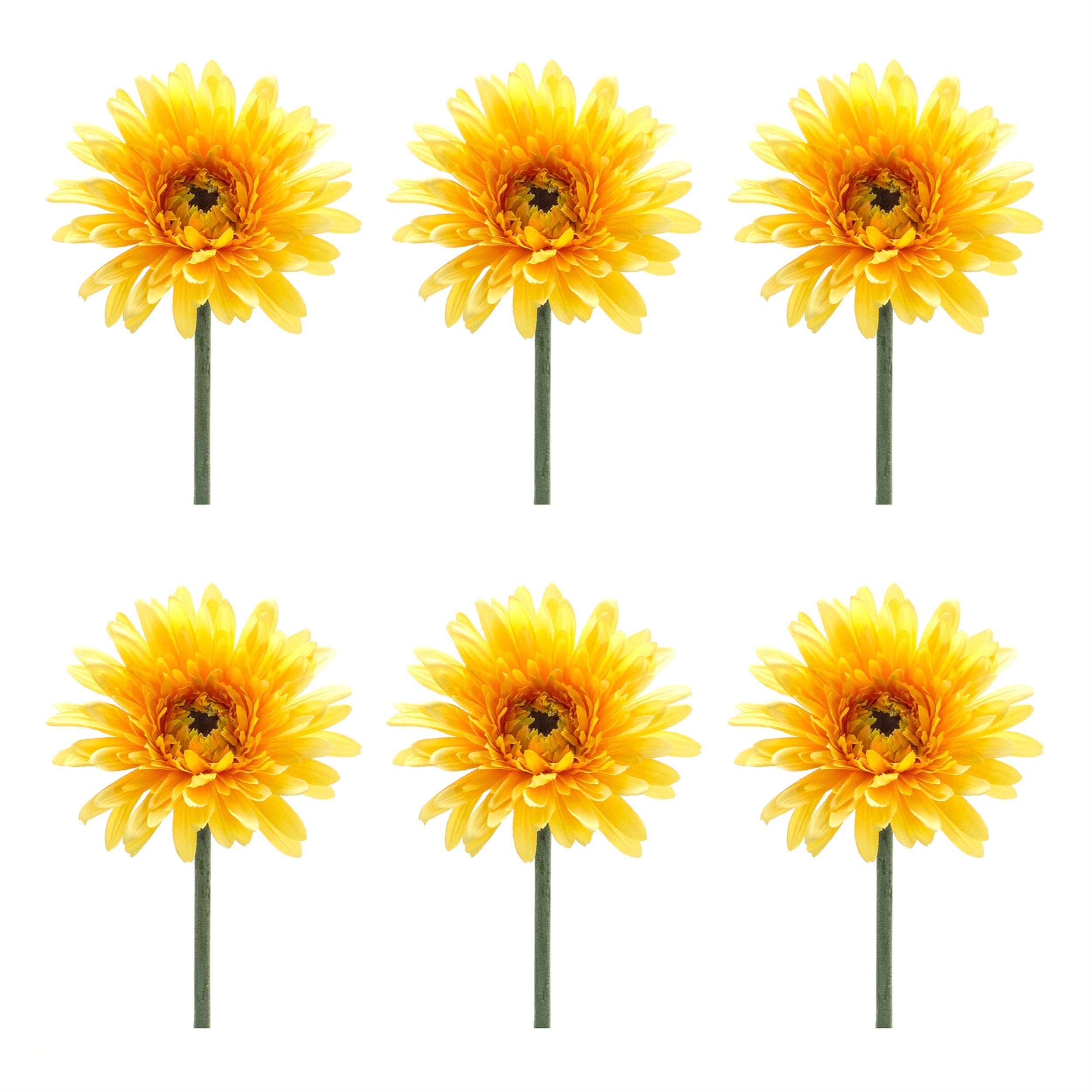 Gerbera daisy floral stem (set of 6)