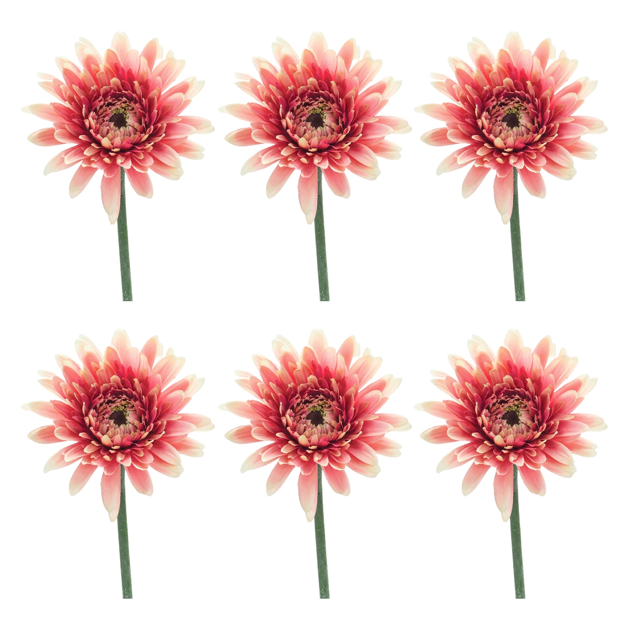 Gerbera Daisy Floral Stem (Set of 6)