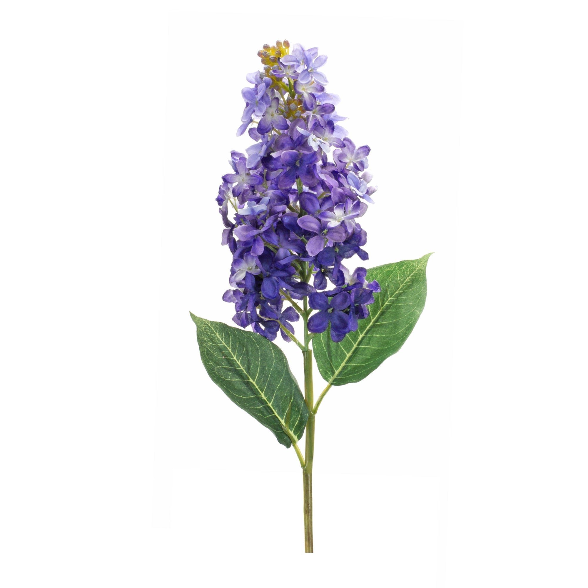 Varigated purple lilac flower stem (set of 6)