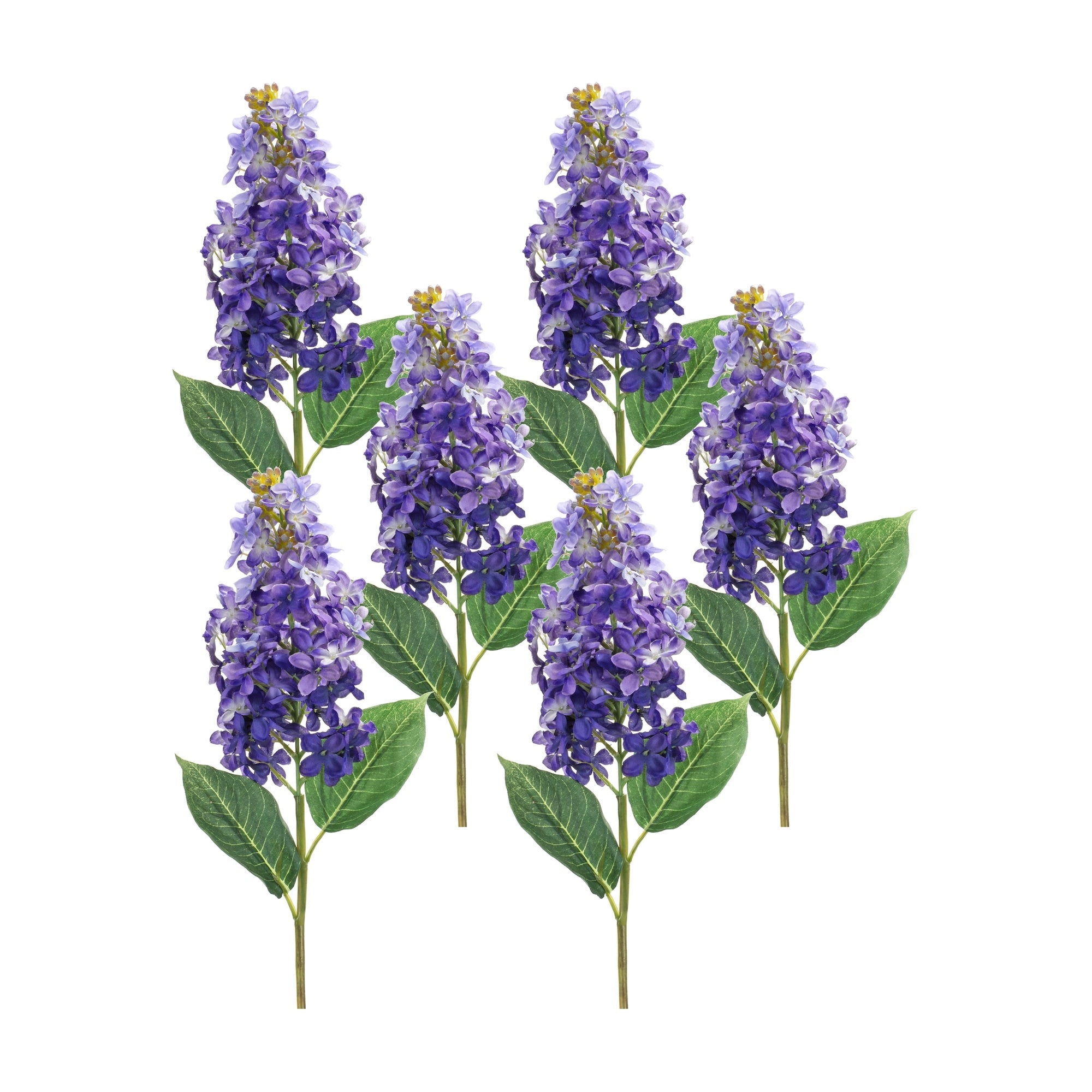 Varigated-purple-lilac-flower-stem-(set-of-6)-Artificial-Flowering-Plants
