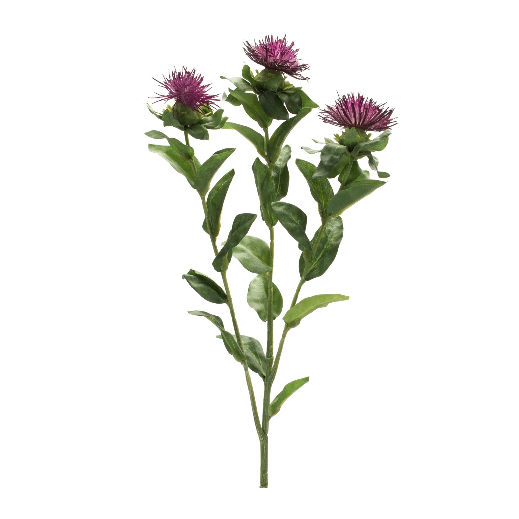 Purple thistle floral spray (set of 6)
