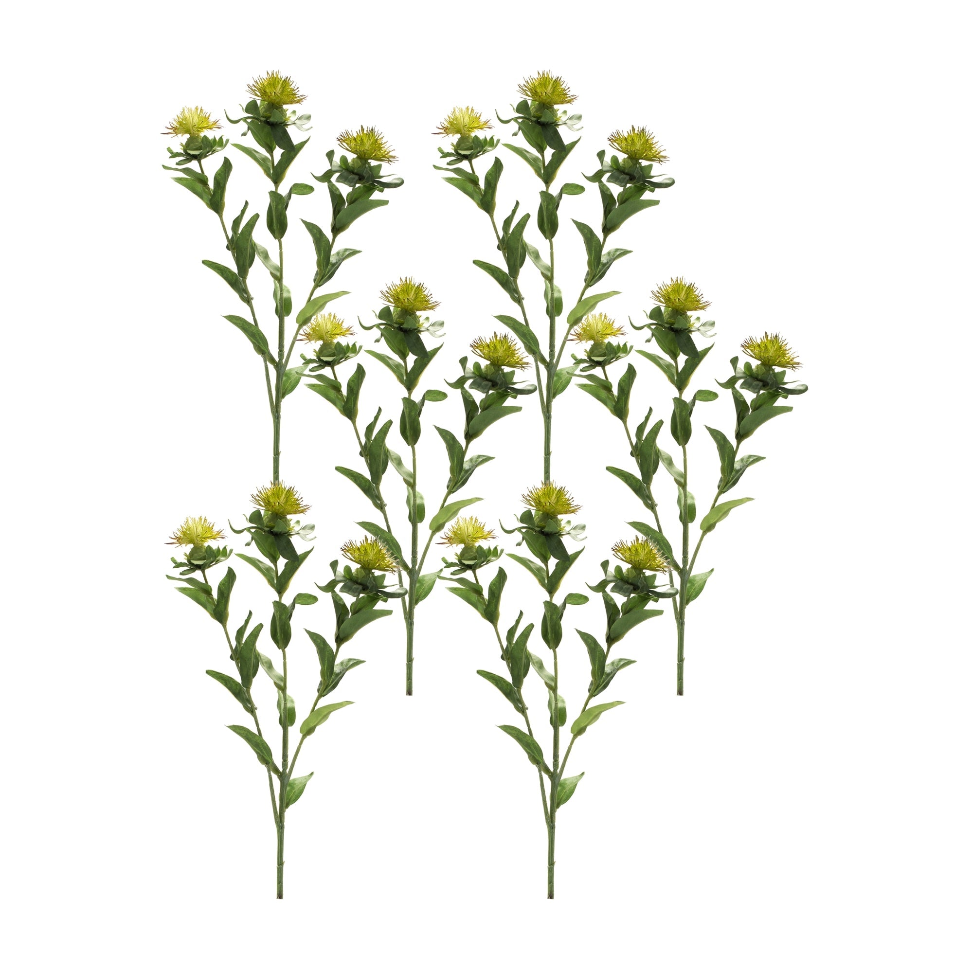 Green-Thistle-Floral-Spray-(Set-of-6)-Artificial-Flowering-Plants