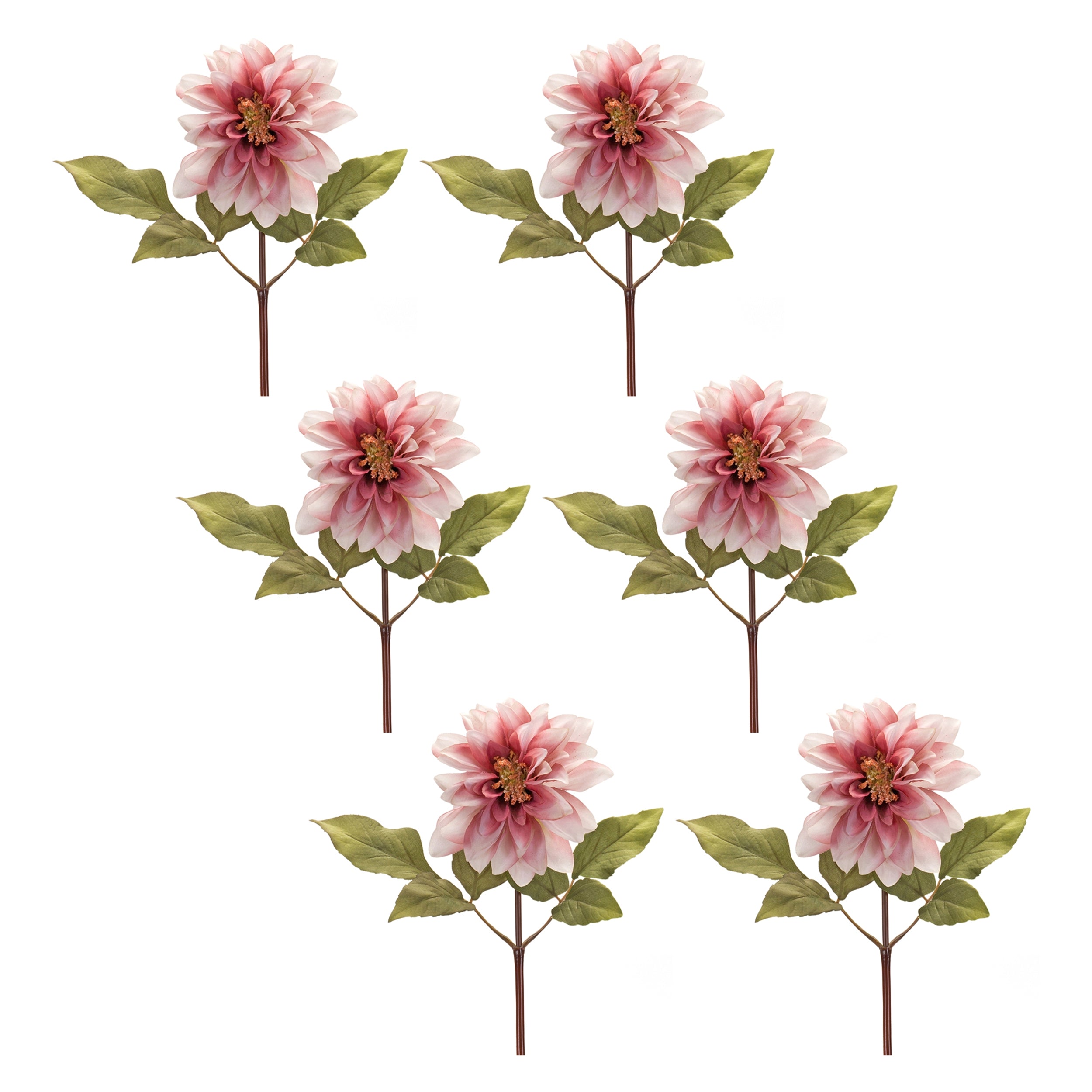 Blush Pink Dahlia Flower Stem (Set of 6)