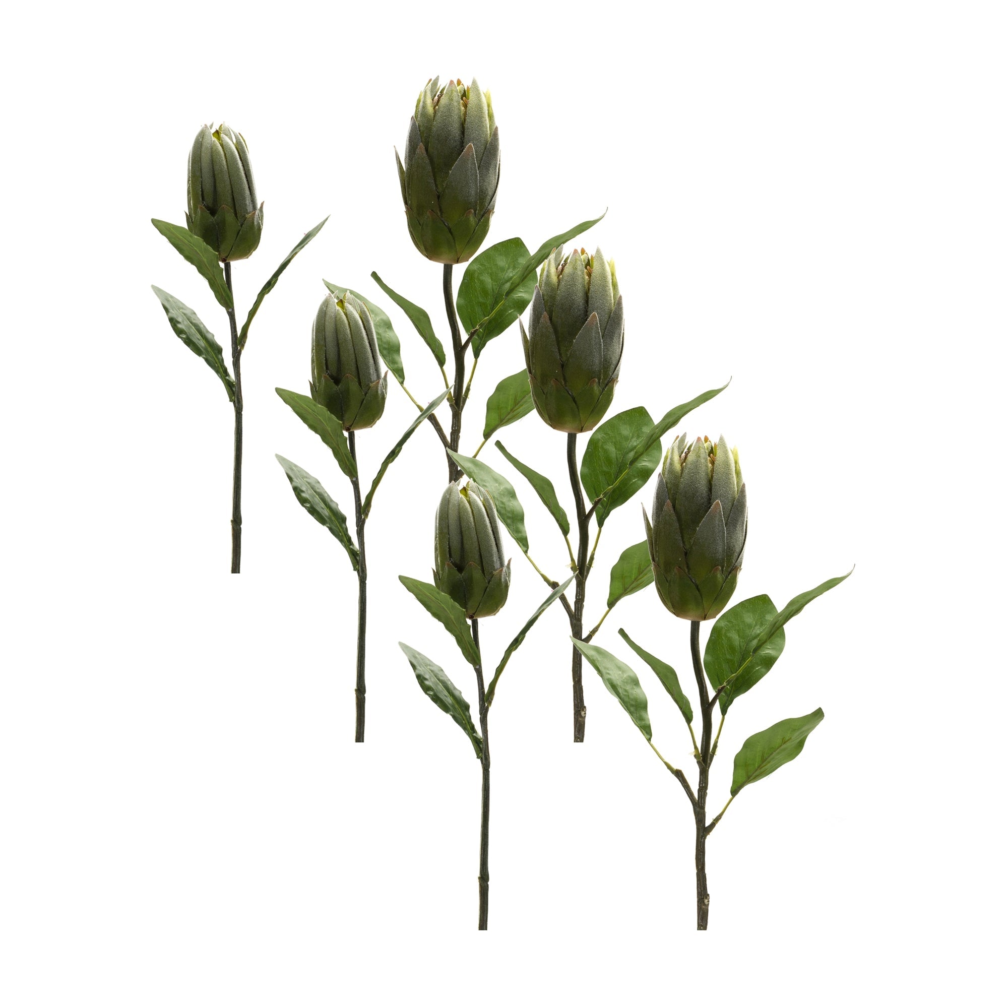Green-Protea-Leaf-Stem-(Set-of-6)-Artificial-Flowering-Plants