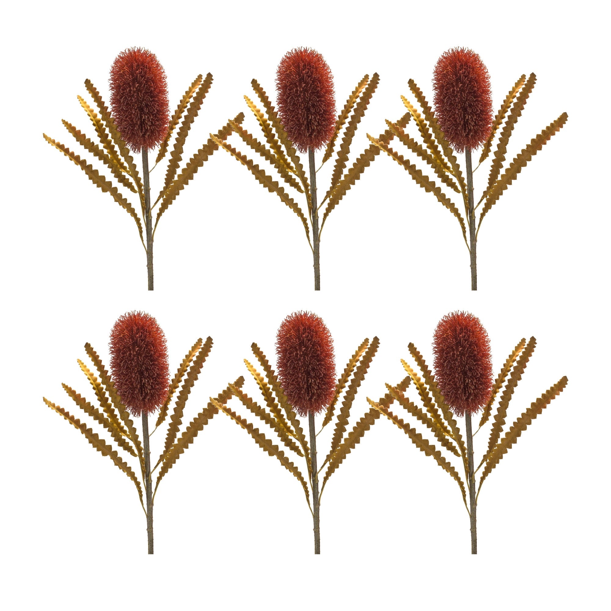 Burnt-Orange-Banksia-Floral-Stem-(Set-of-6)-Artificial-Flowering-Plants