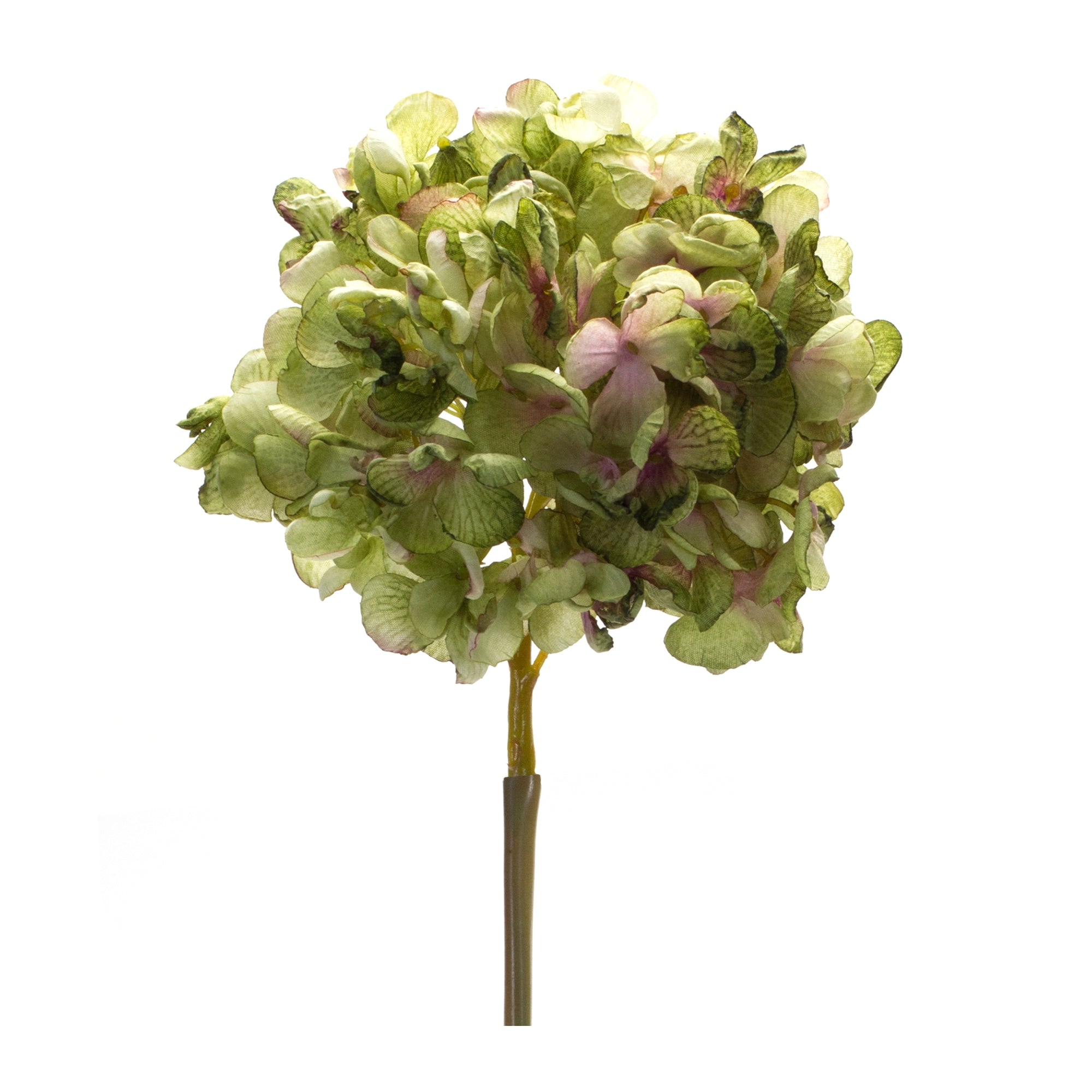 Green hydrangea flower stem (set of 6)