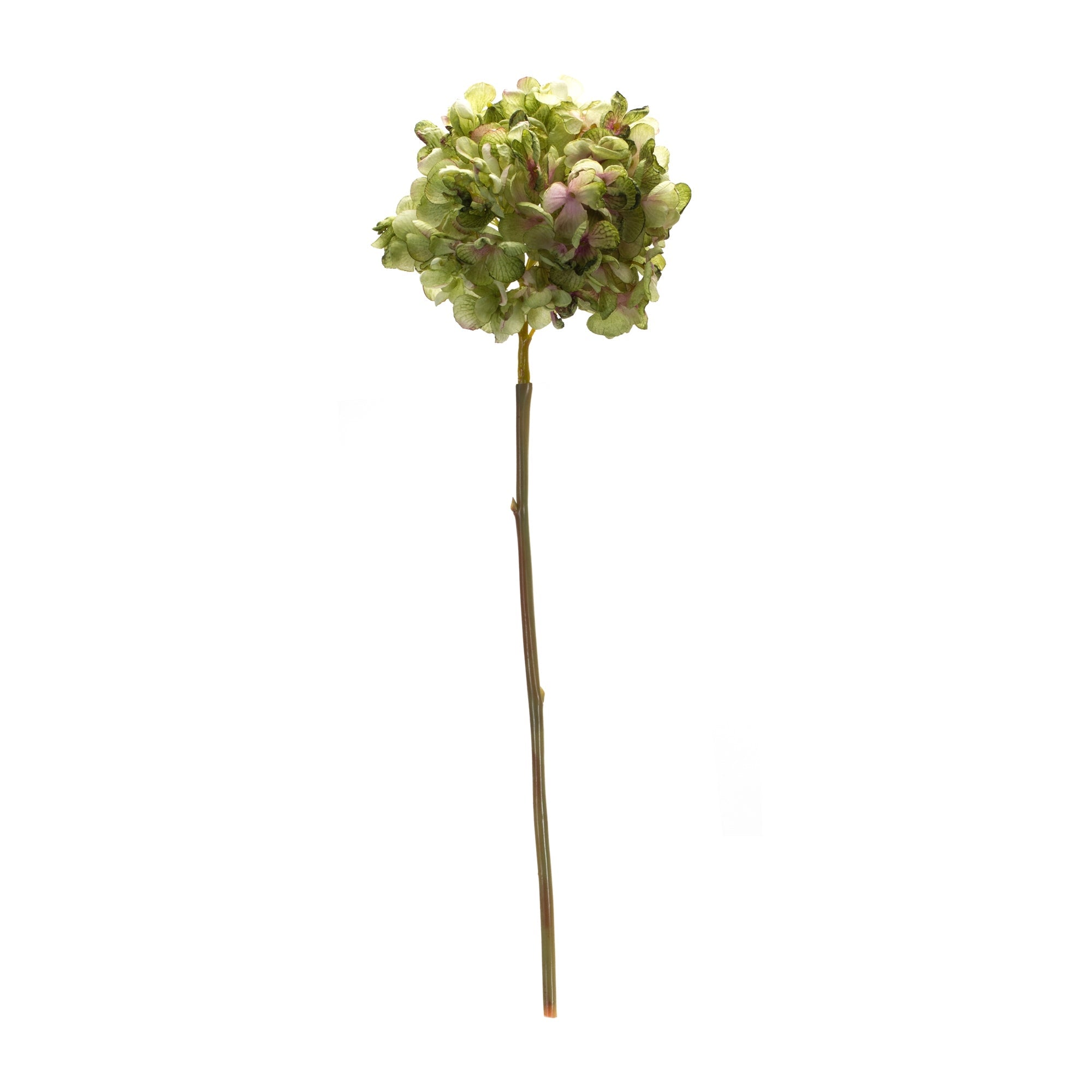 Green hydrangea flower stem (set of 6)