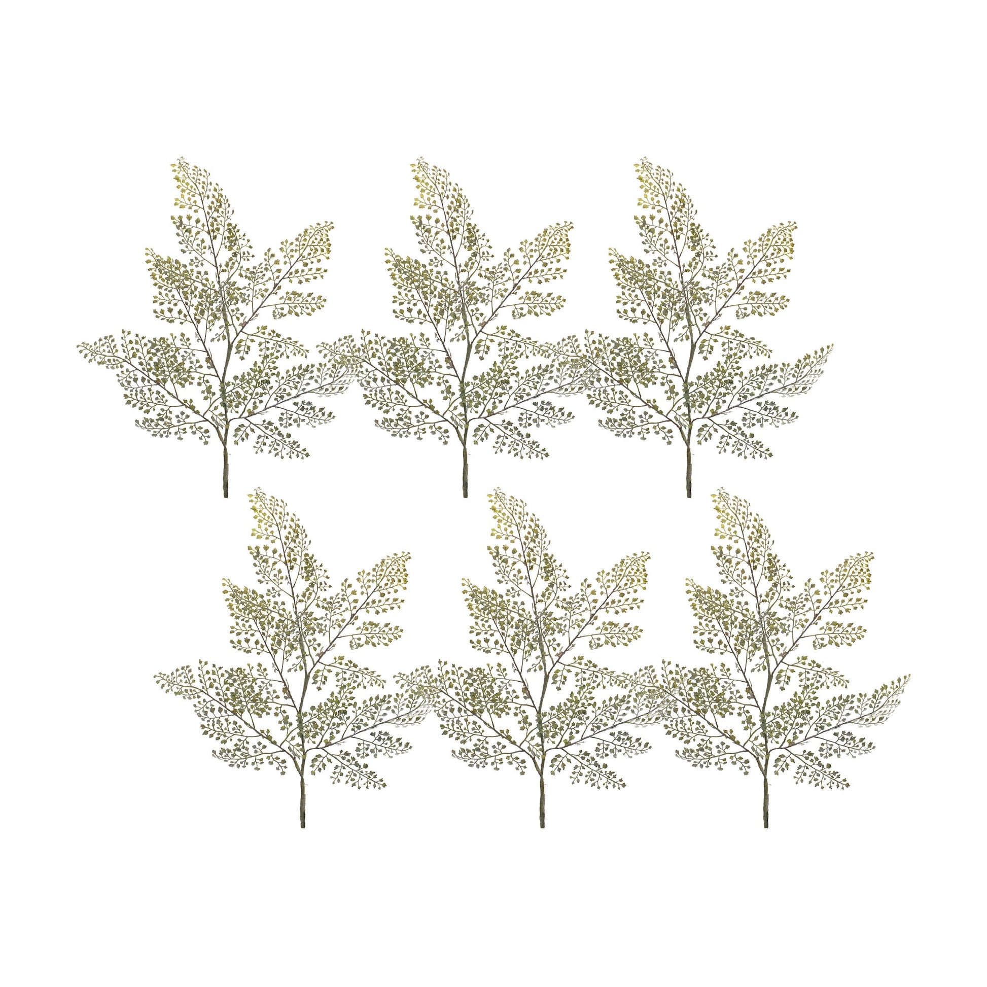Maiden-Hair-Fern-Foliage-Spray-(Set-of-6)-Artificial-Flowering-Plants