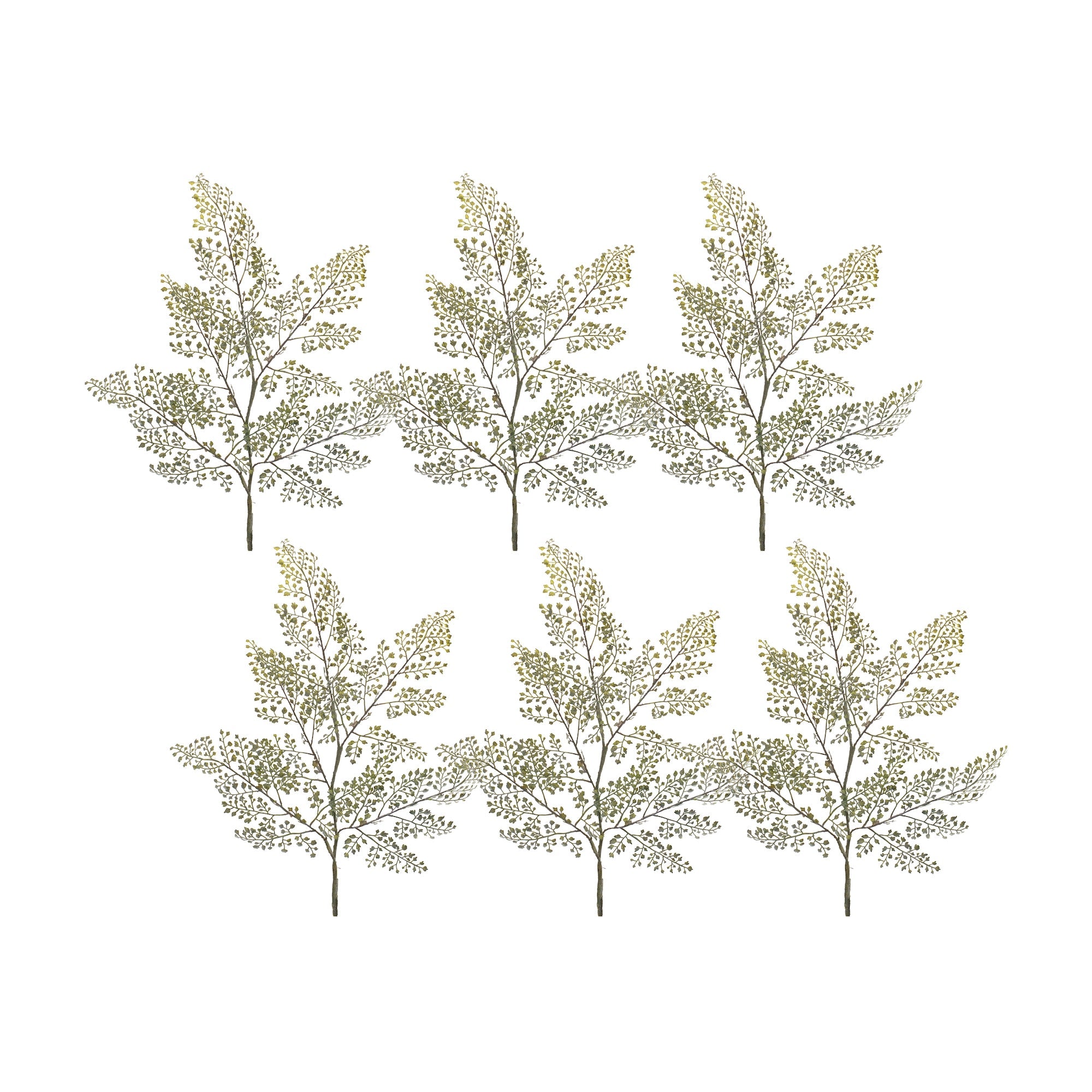 Maiden-Hair-Fern-Foliage-Spray-(Set-of-6)-Artificial-Flowering-Plants