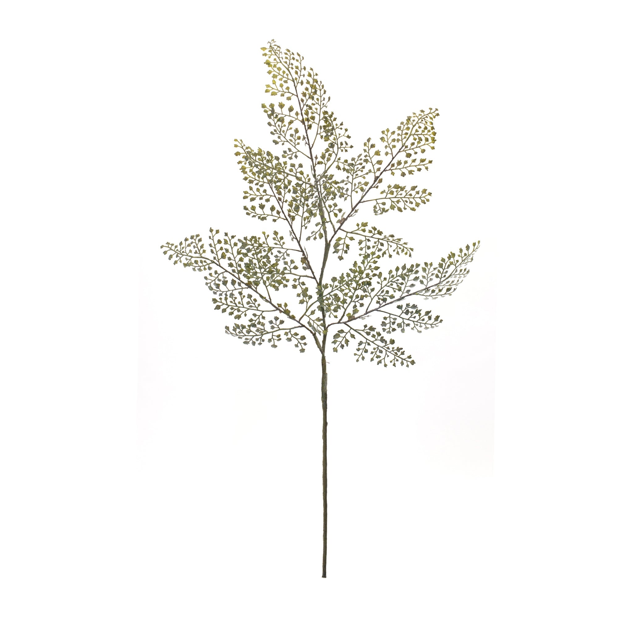 Maiden Hair Fern Foliage Spray (Set of 6)