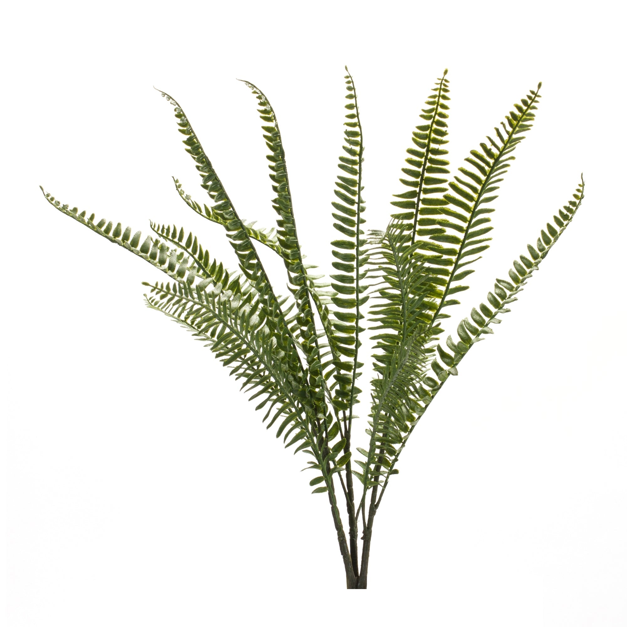 Fern Foliage Bush (Set of 6)