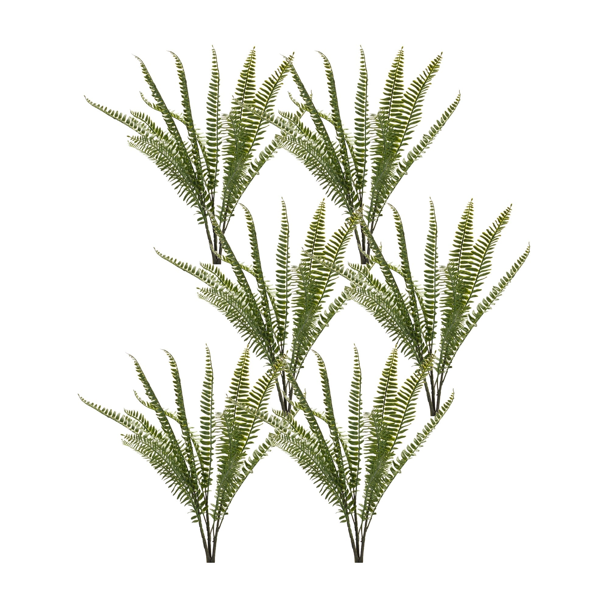 Fern-Foliage-Bush-(Set-of-6)-Artificial-Non-Flowering-Plants