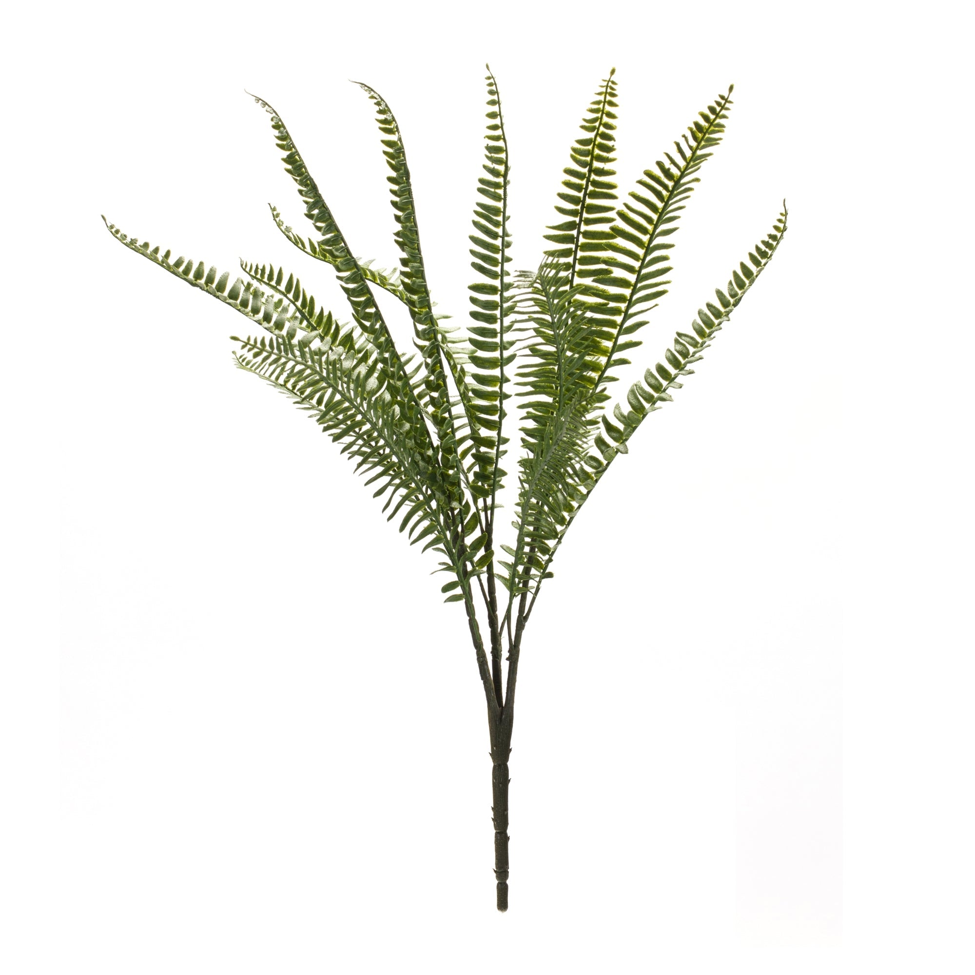 Fern Foliage Bush (Set of 6)